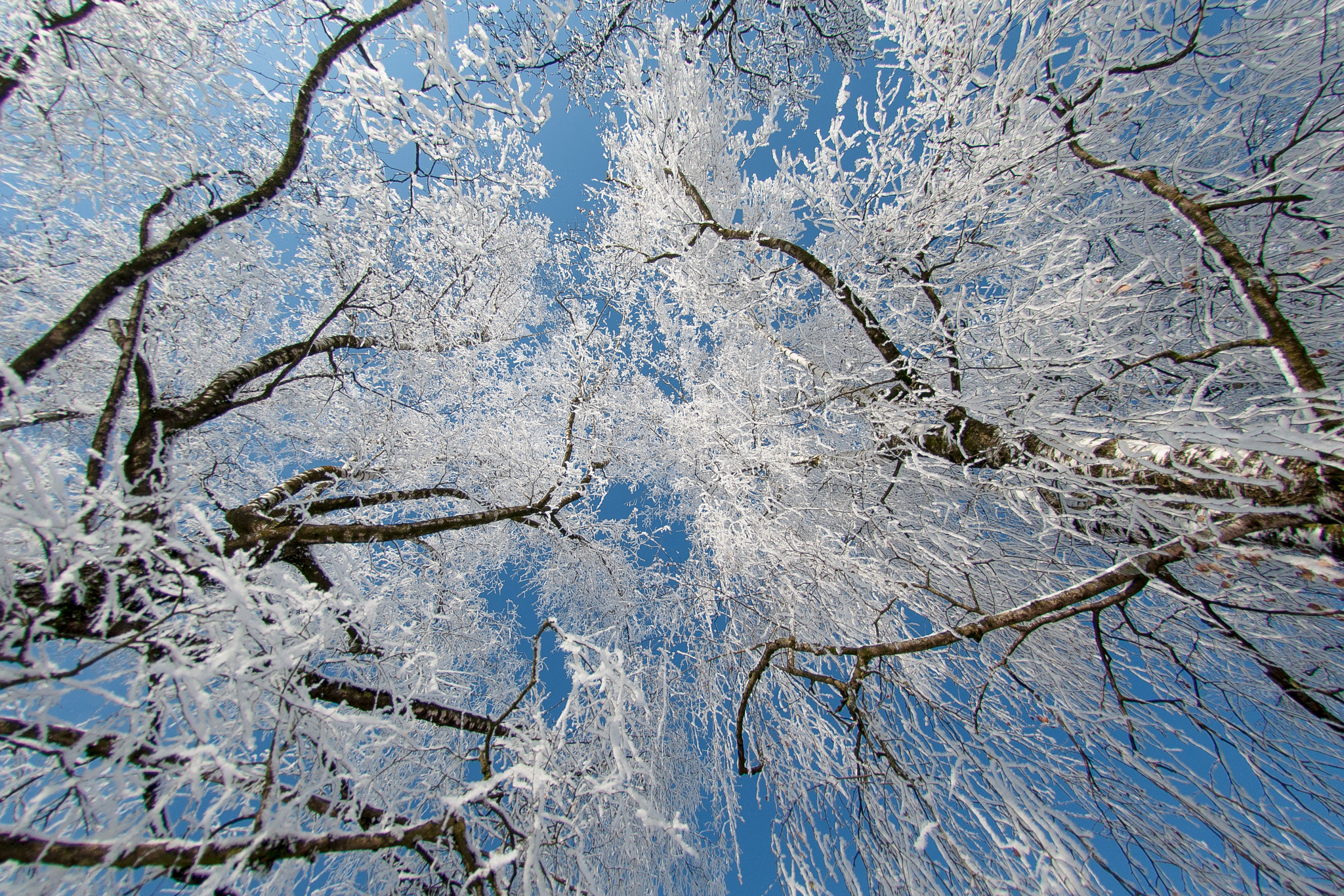 Nikon AF DX Fisheye-Nikkor 10.5mm F2.8G ED sample photo. Sunshine on a frozen day photography
