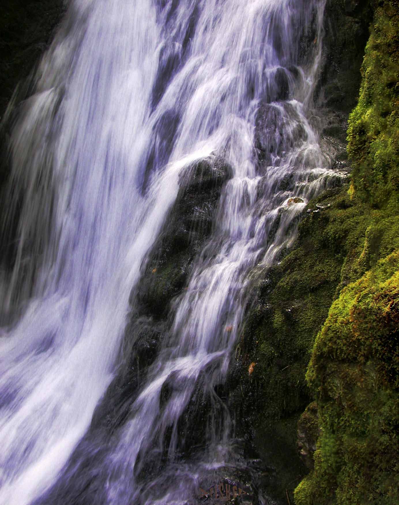 Nikon E995 sample photo. Flowing waters dickson falls fundy national park photography