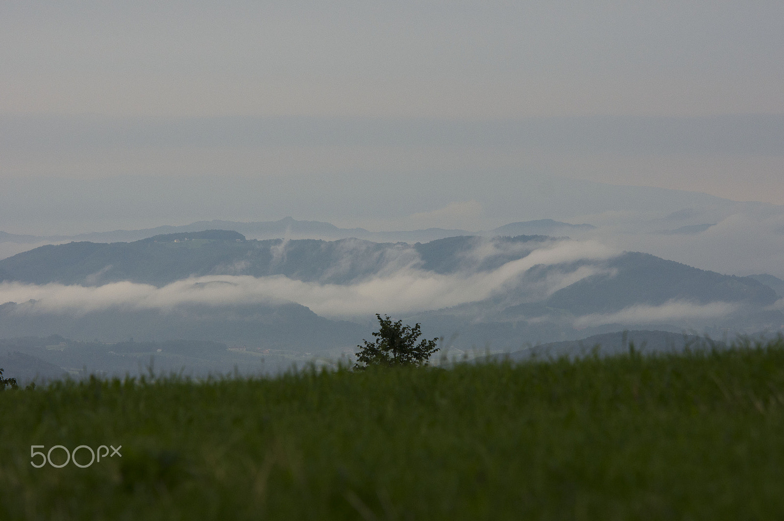 Tamron 80-300mm F3.5-6.3 sample photo. Misty photography