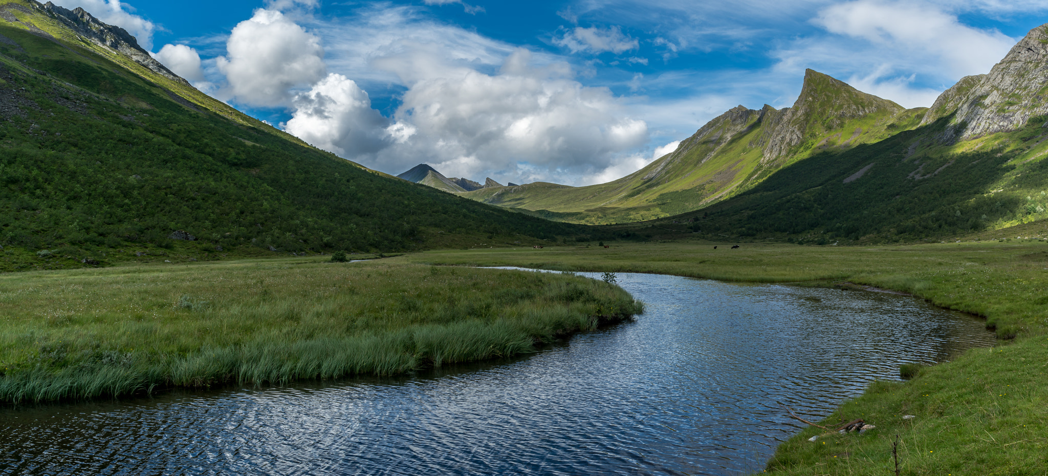 Canon TS-E 24mm f/3.5L sample photo. Green valley photography