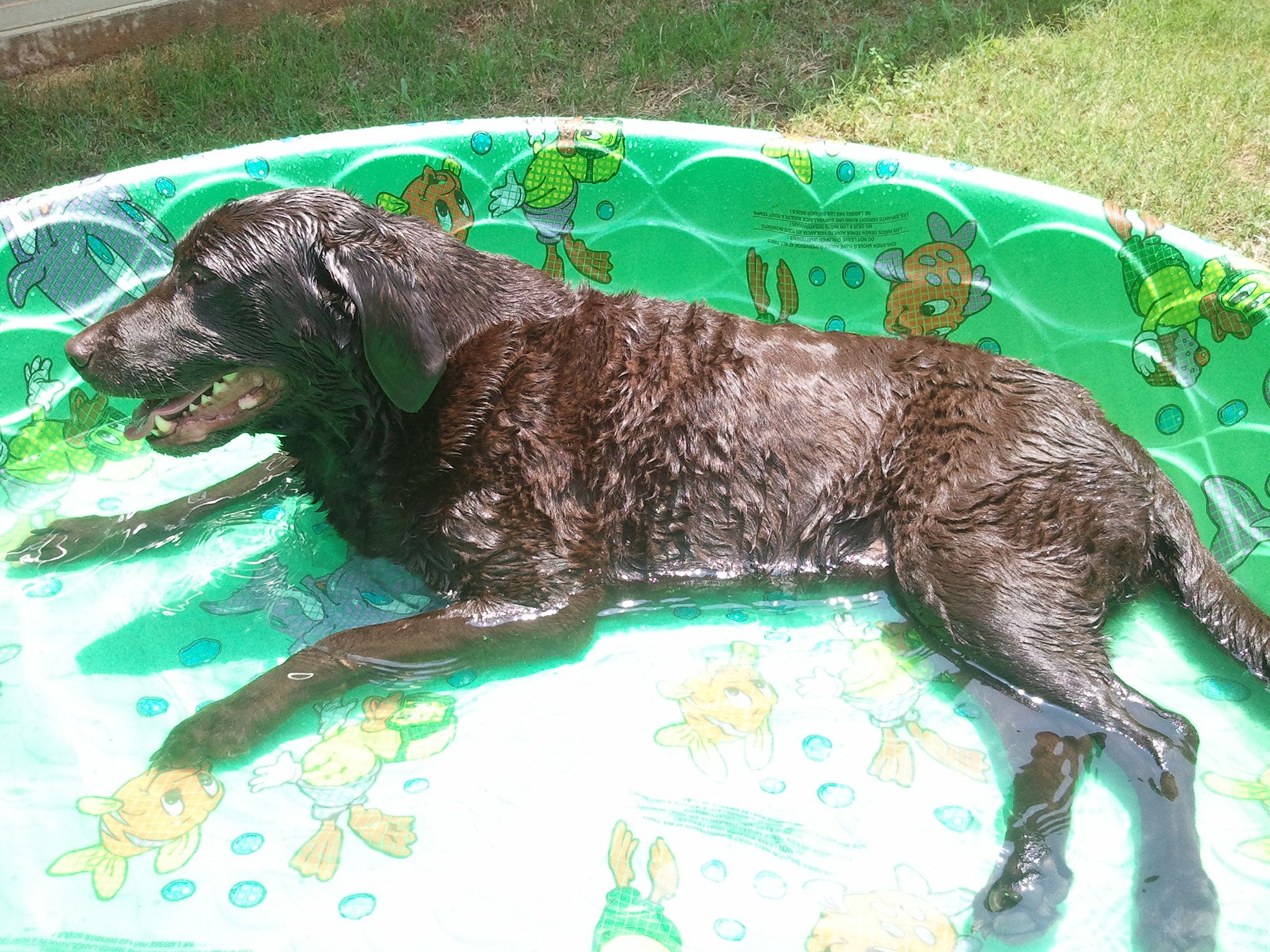 Samsung Galaxy S sample photo. Mandy cooling off photography