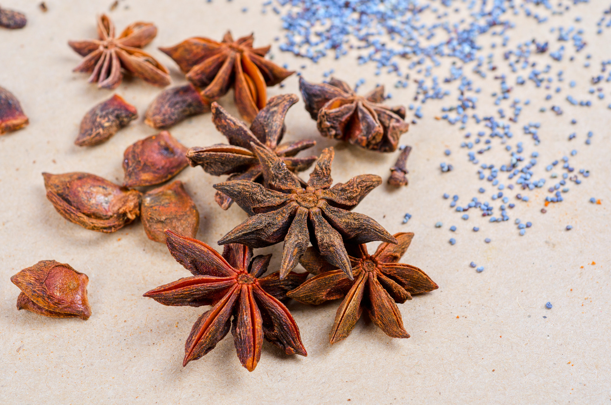 Nikon D7000 + Nikon AF Micro-Nikkor 60mm F2.8D sample photo. Anise stars photography