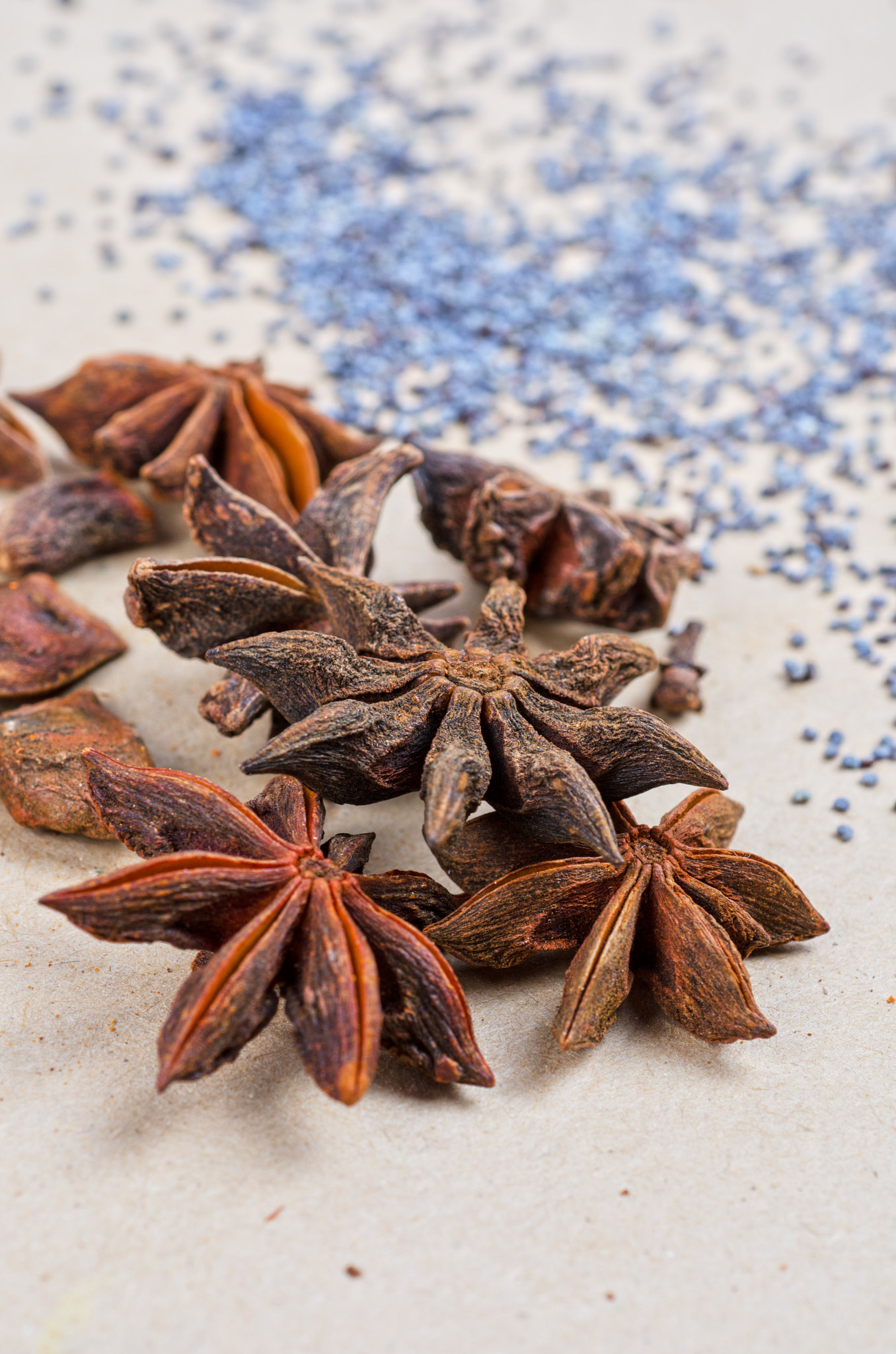 Nikon D7000 + Nikon AF Micro-Nikkor 60mm F2.8D sample photo. Anise stars photography