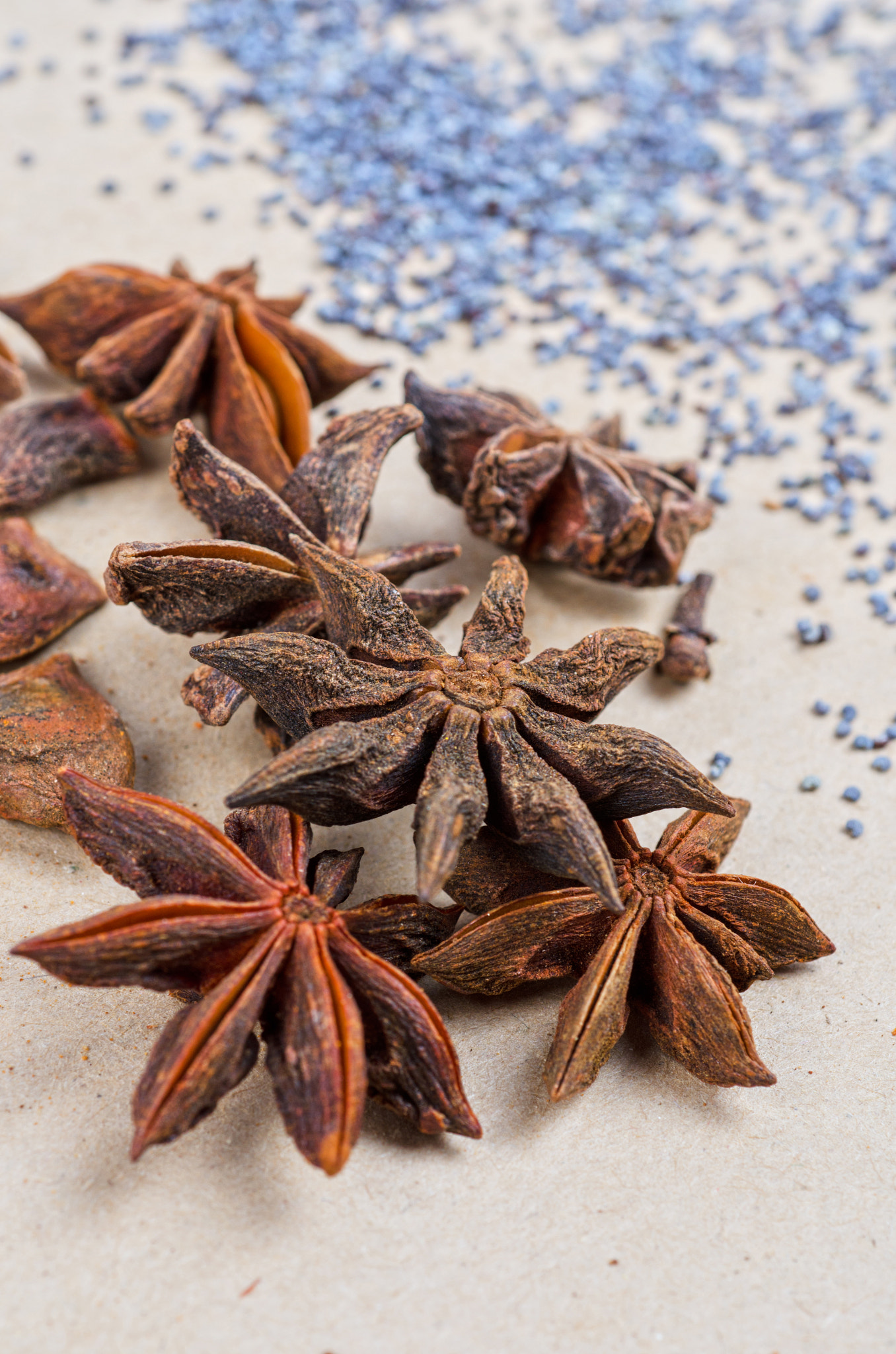 Nikon D7000 + Nikon AF Micro-Nikkor 60mm F2.8D sample photo. Anise stars photography