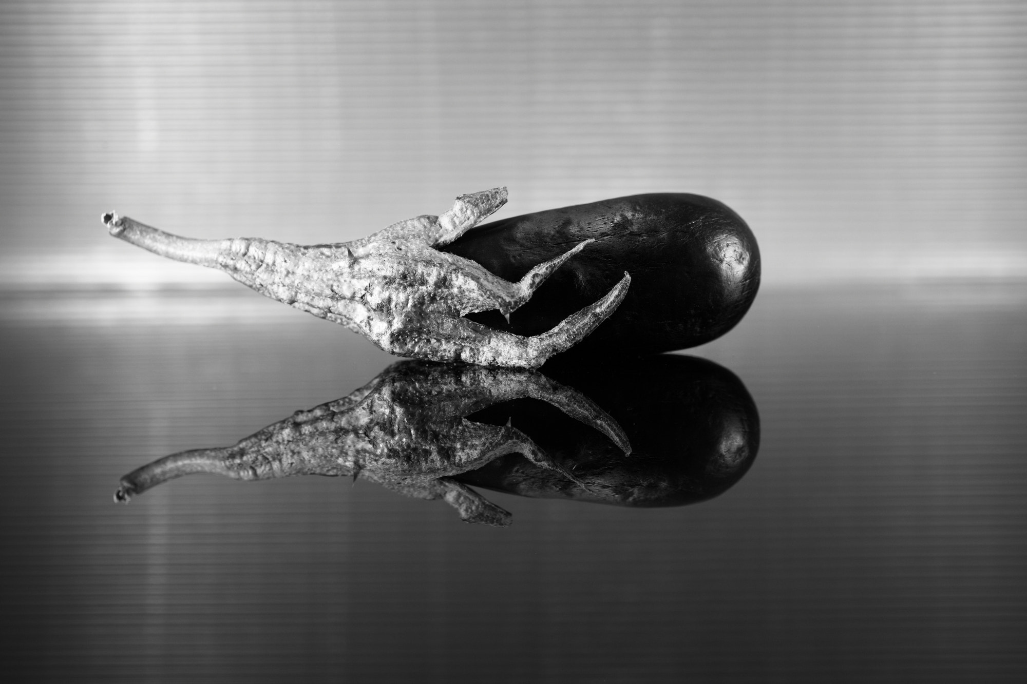 Canon EF 50mm F2.5 Macro sample photo. Chicken foot on egg-plant photography