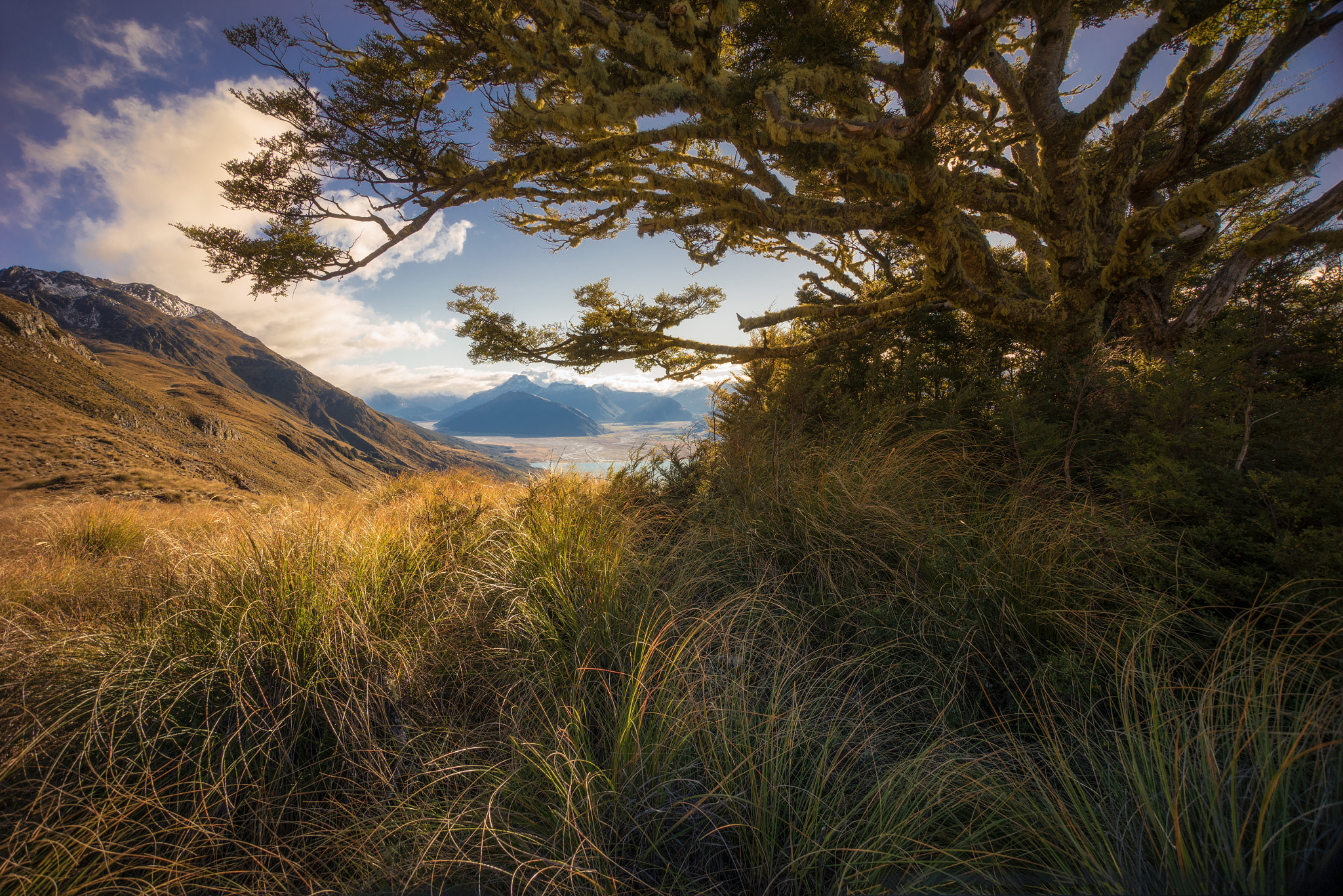 Sony a7R sample photo. Mount alfred from kinloch photography