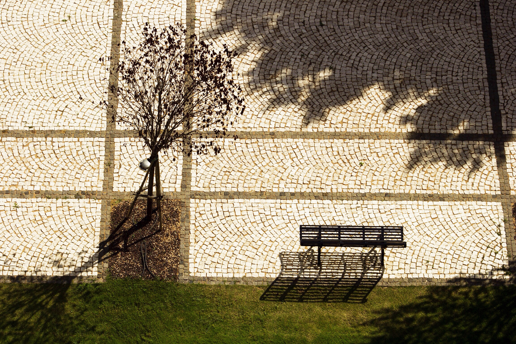 Canon EF 75-300mm f/4-5.6 USM sample photo