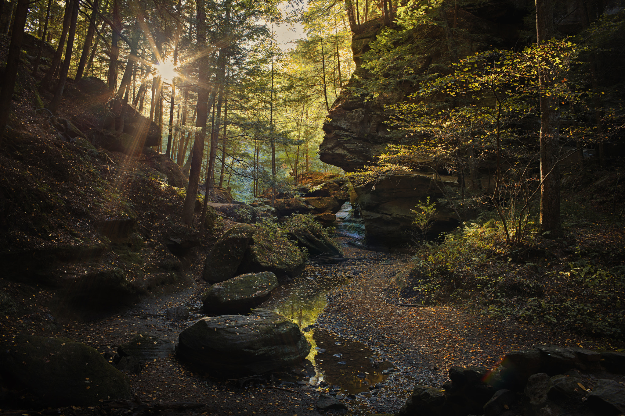 Canon EF 35mm F1.4L USM sample photo. Hocking hills photography