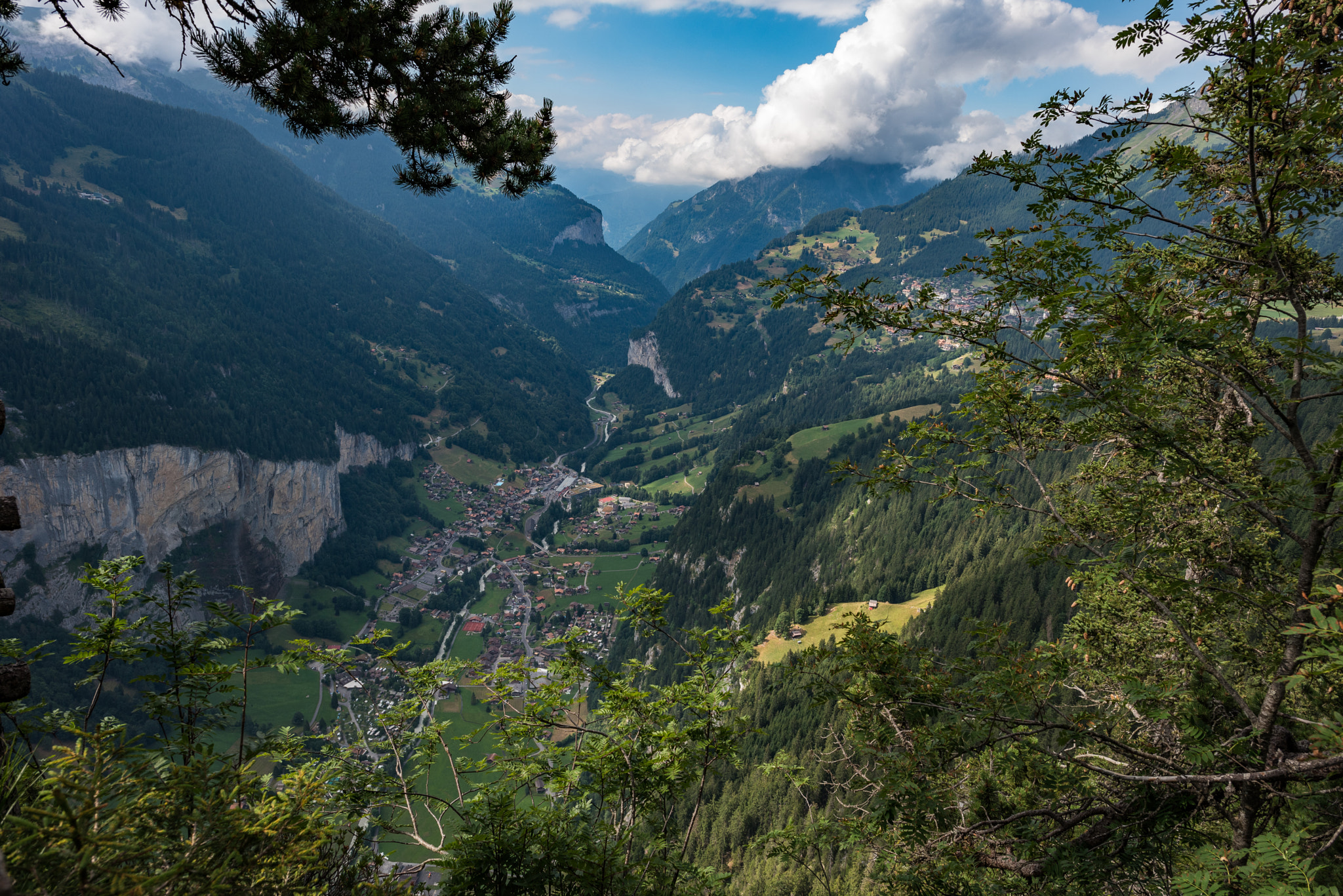 Nikon D750 + Nikon AF-S Nikkor 24mm F1.4G ED sample photo. Wengen countryside photography