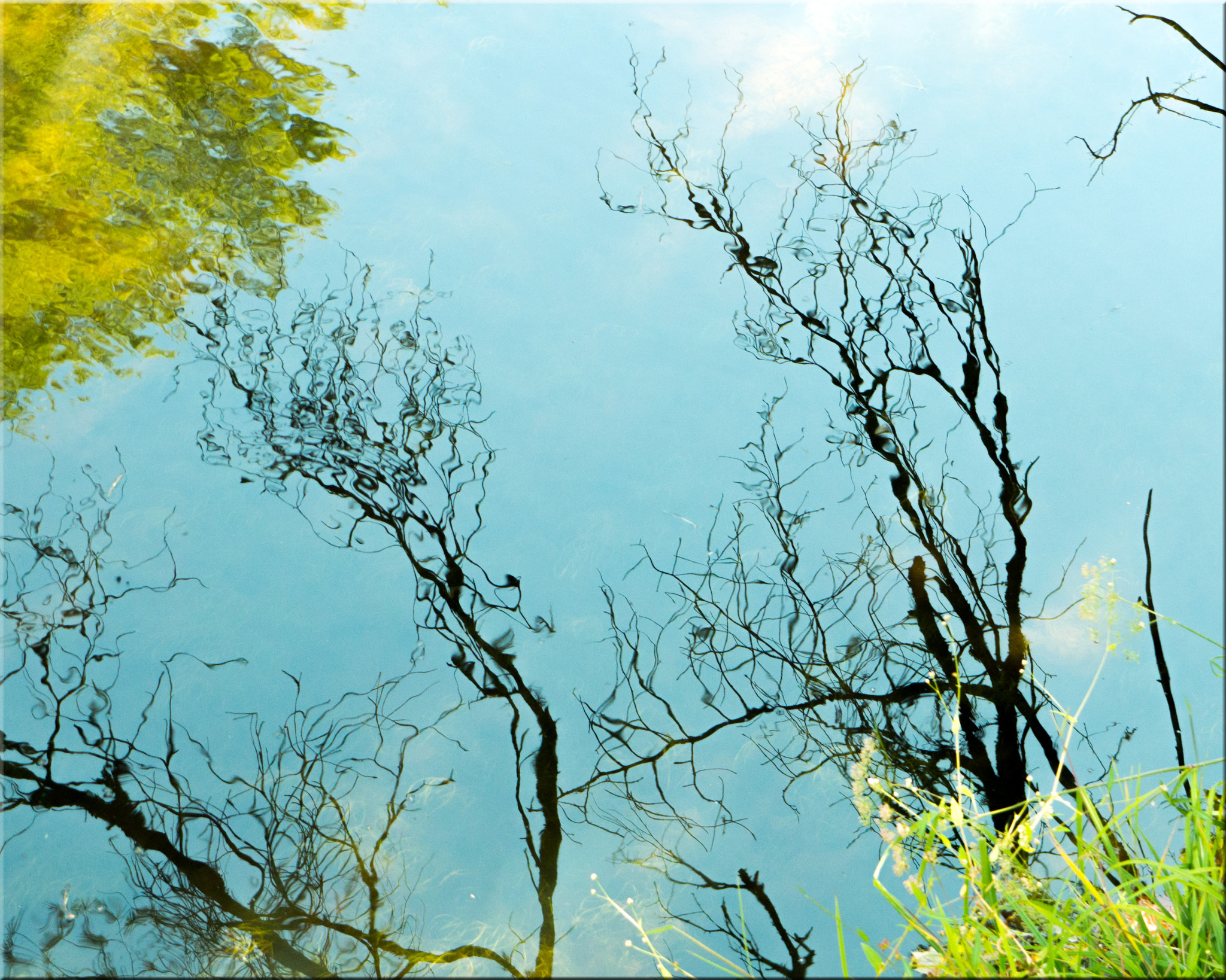 Panasonic Lumix DMC-GH3 sample photo. North carolina journey in october photography