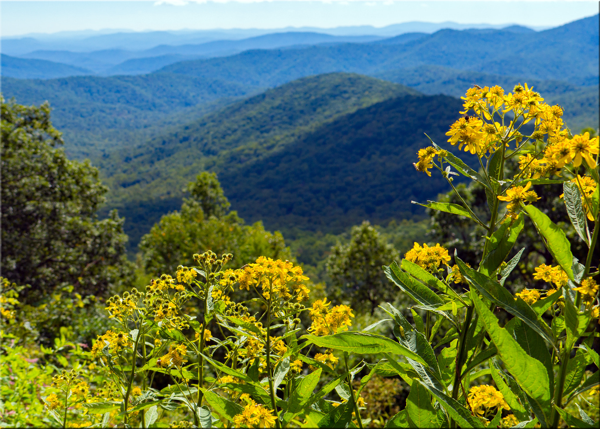 Panasonic Lumix DMC-GH3 sample photo. North carolina journey in october photography