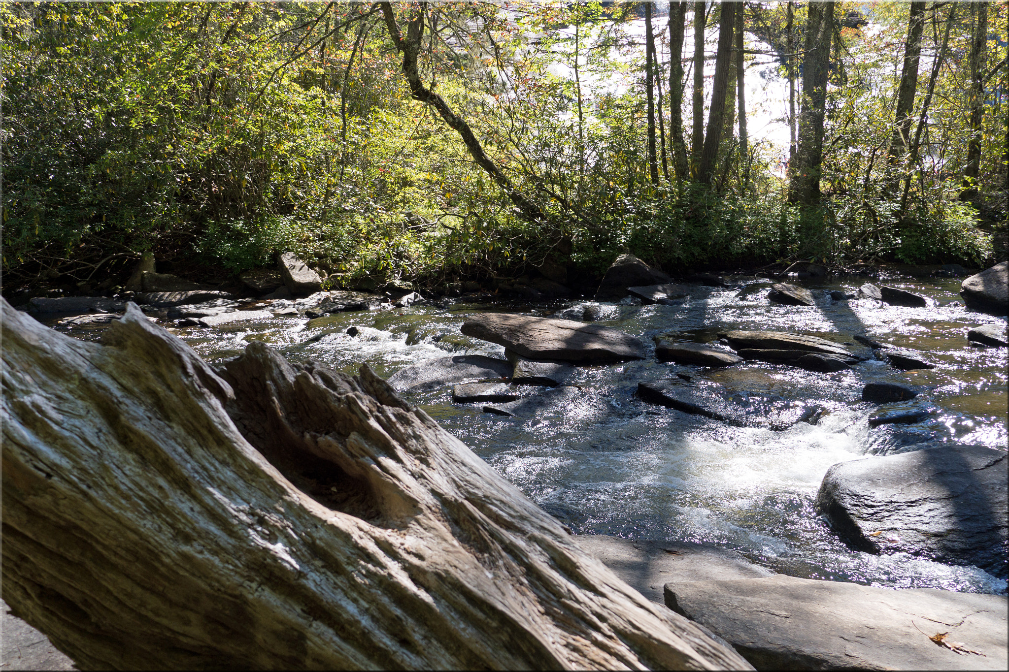 Panasonic Lumix DMC-GH3 sample photo. North carolina journey in october photography