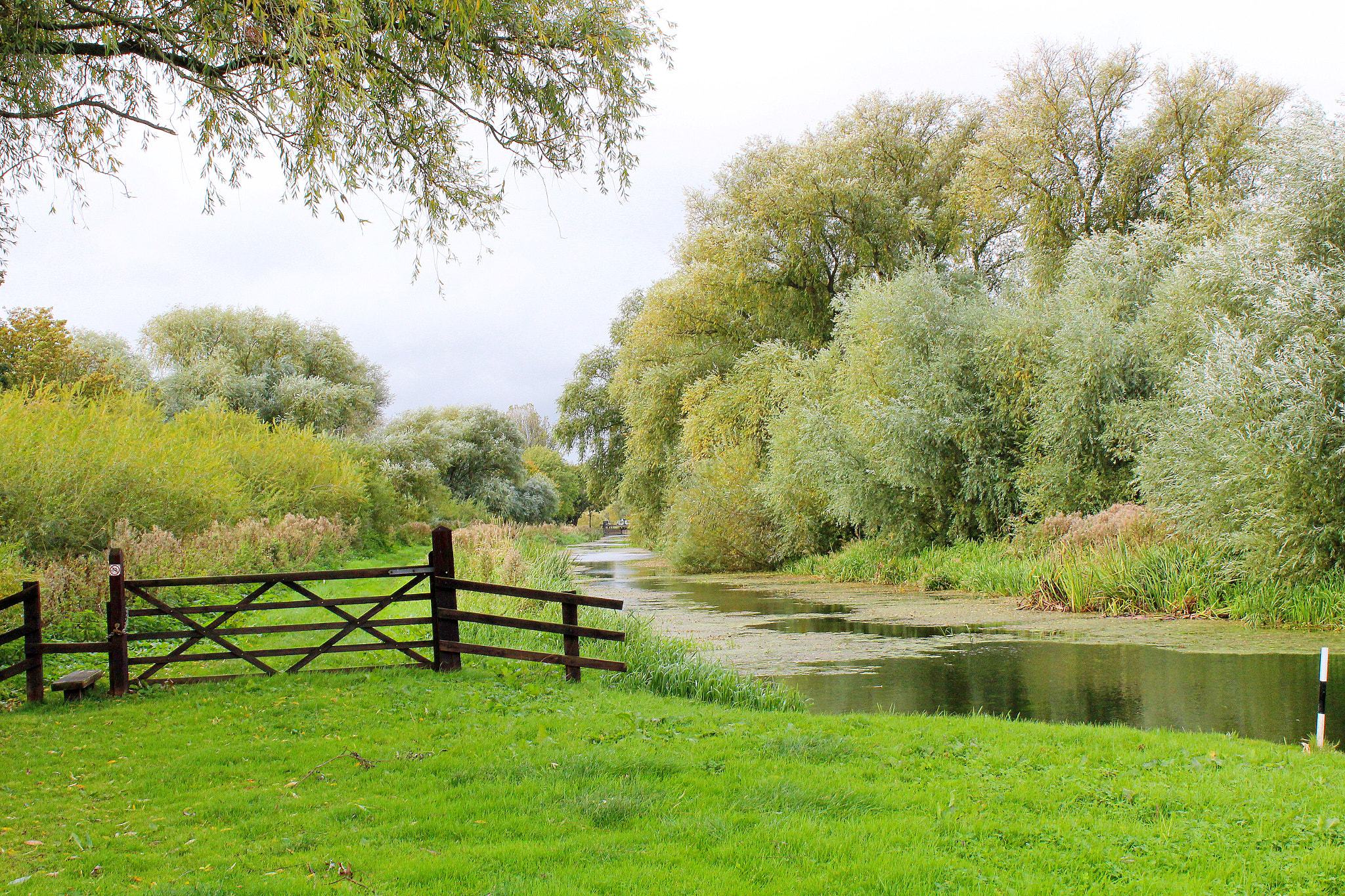 Canon EF-S 18-55mm F3.5-5.6 III sample photo. Pocklington canal photography