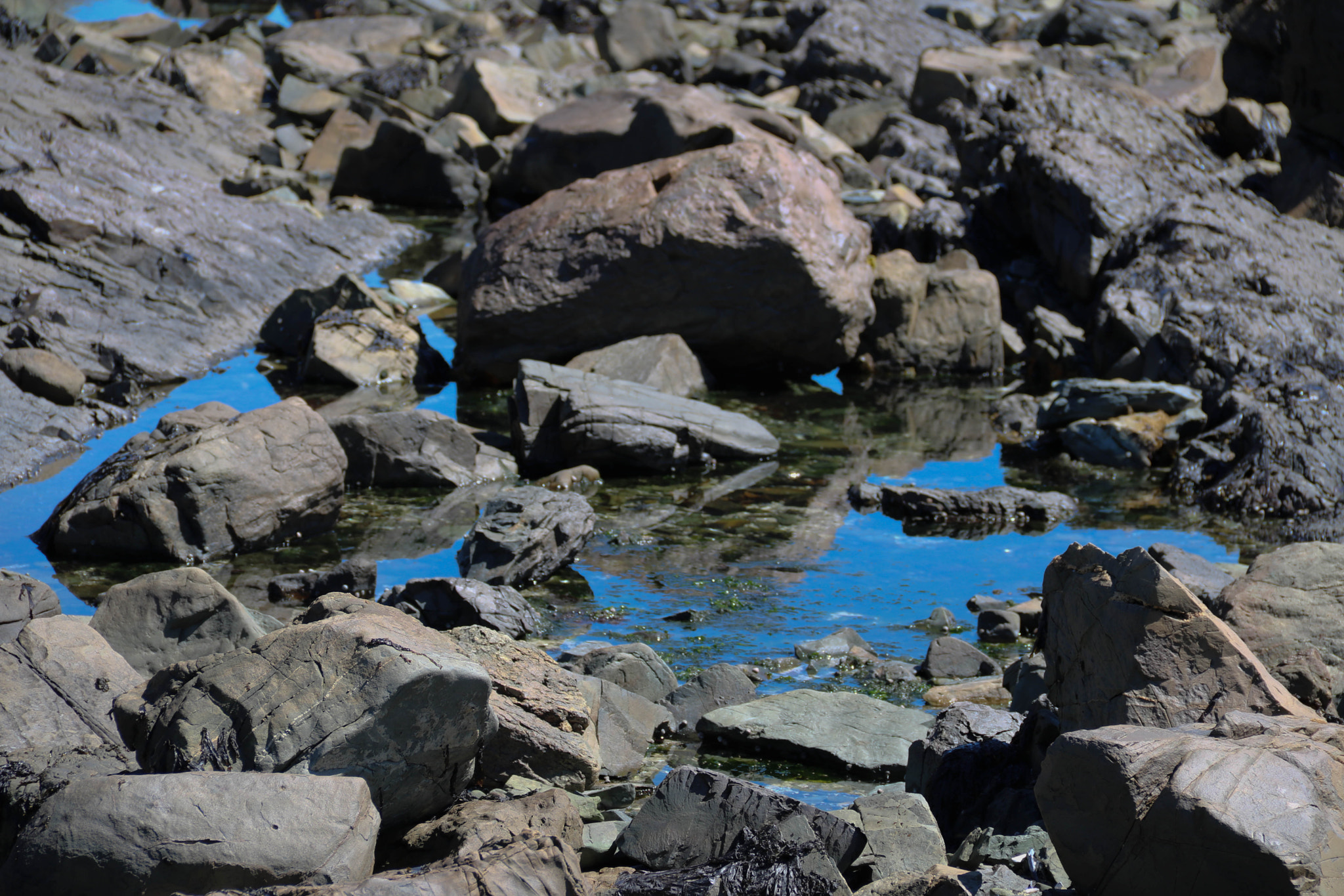Canon EOS 750D (EOS Rebel T6i / EOS Kiss X8i) sample photo. Rocks on the shore photography