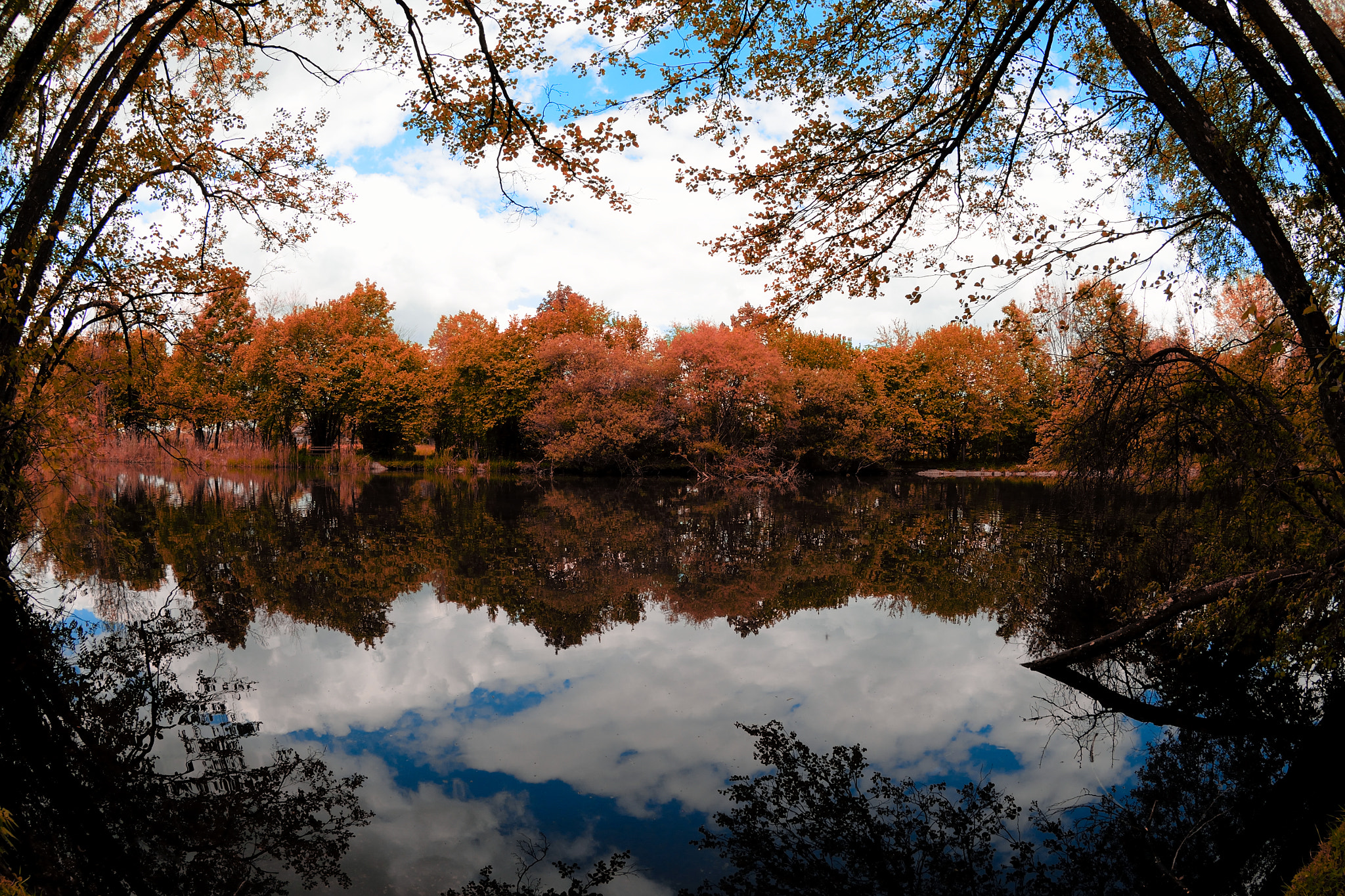Nikon AF DX Fisheye-Nikkor 10.5mm F2.8G ED sample photo. Red trees on a small lake photography