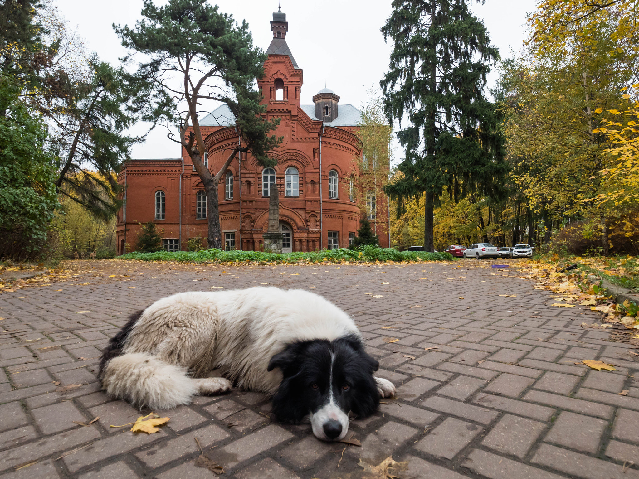 Panasonic Lumix DMC-GH4 + Olympus M.Zuiko Digital ED 7-14mm F2.8 PRO sample photo. Guard of pokrovskoye-streshnevo estate photography