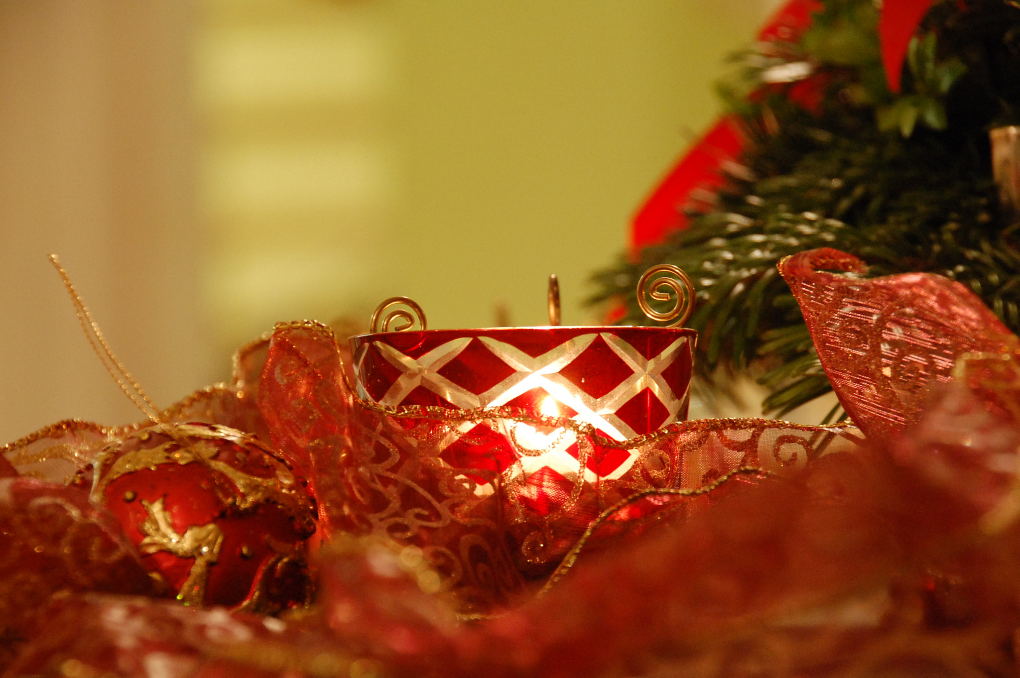 Nikon D40 sample photo. Christmas photography