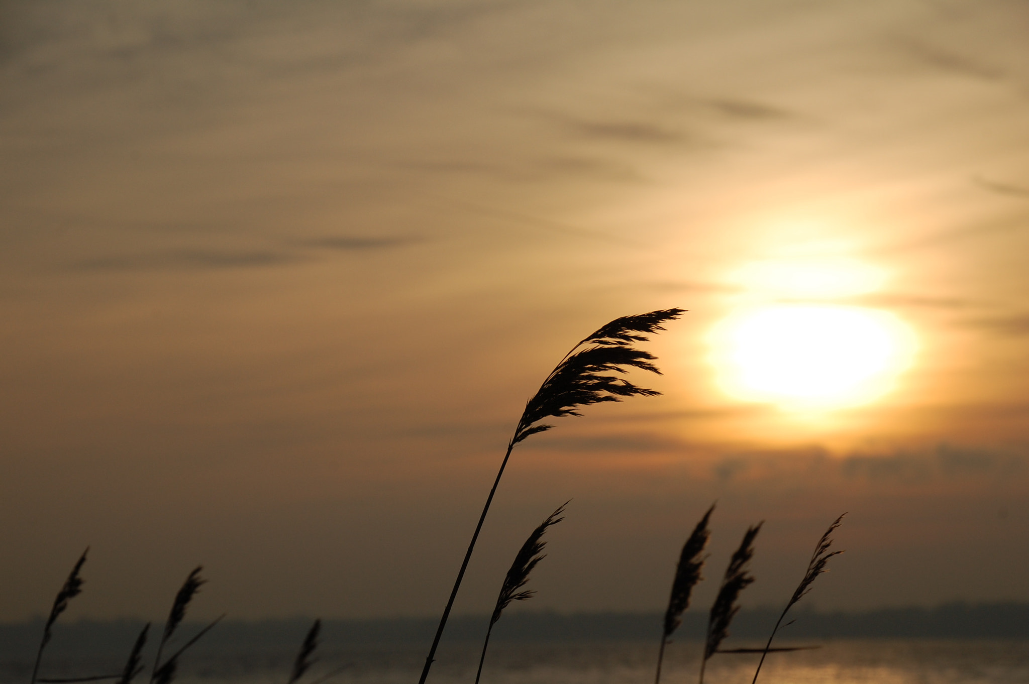 Nikon D40 sample photo. Denmark photography