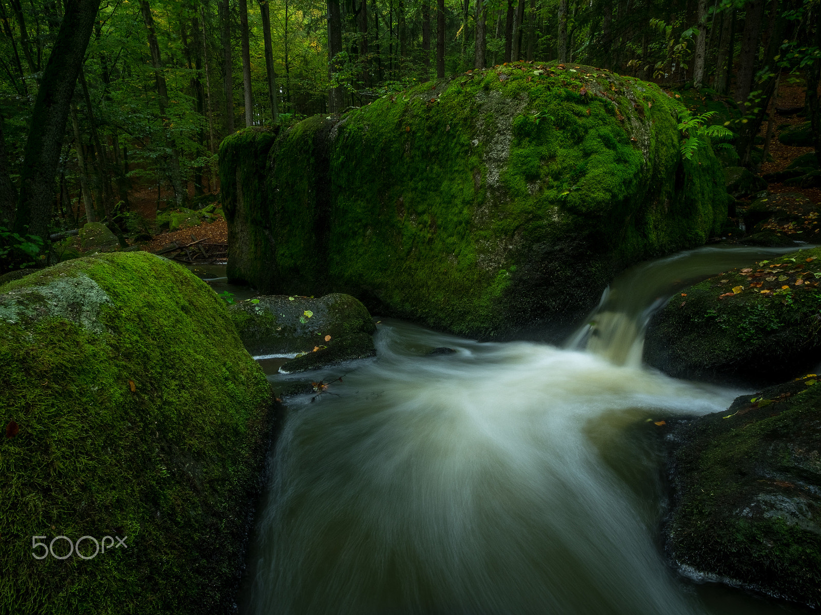 Olympus Zuiko Digital ED 9-18mm F4.0-5.6 sample photo. The green valley photography