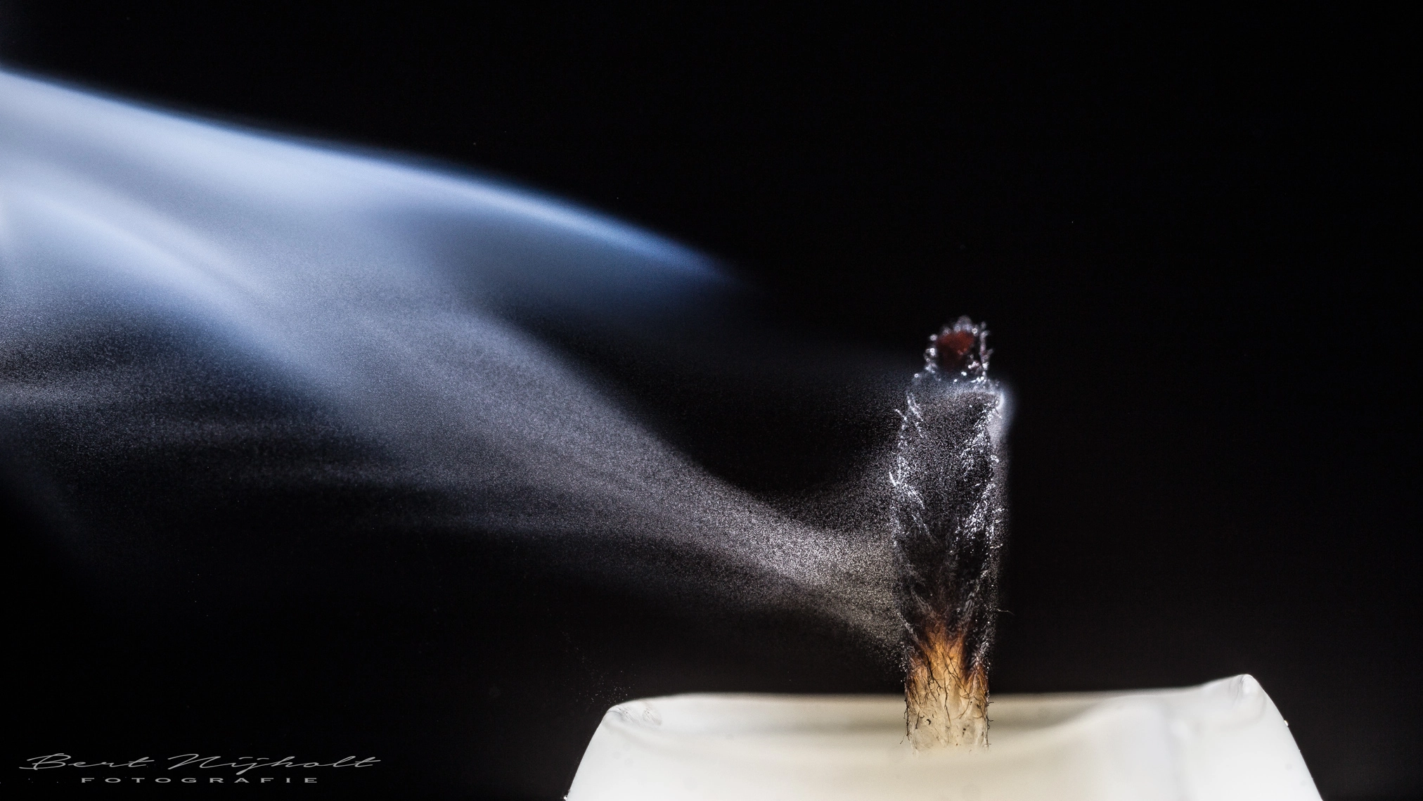 Canon MP-E 65mm F2.5 1-5x Macro Photo sample photo. Waxbow photography