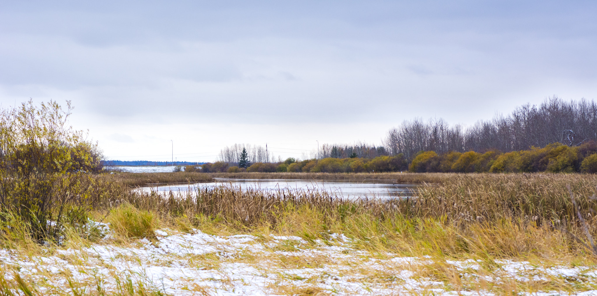 Nikon AF-S Micro-Nikkor 105mm F2.8G IF-ED VR sample photo. Albertan landscape photography