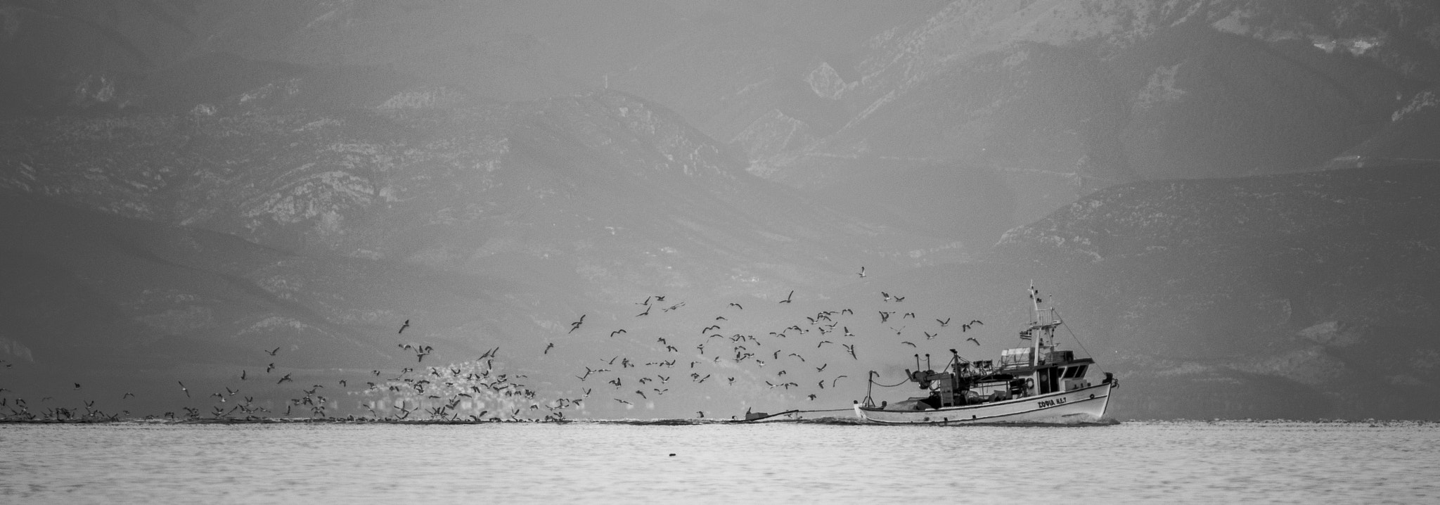 AF Zoom-Nikkor 70-210mm f/4 sample photo. Fishing boat and seagulls company photography