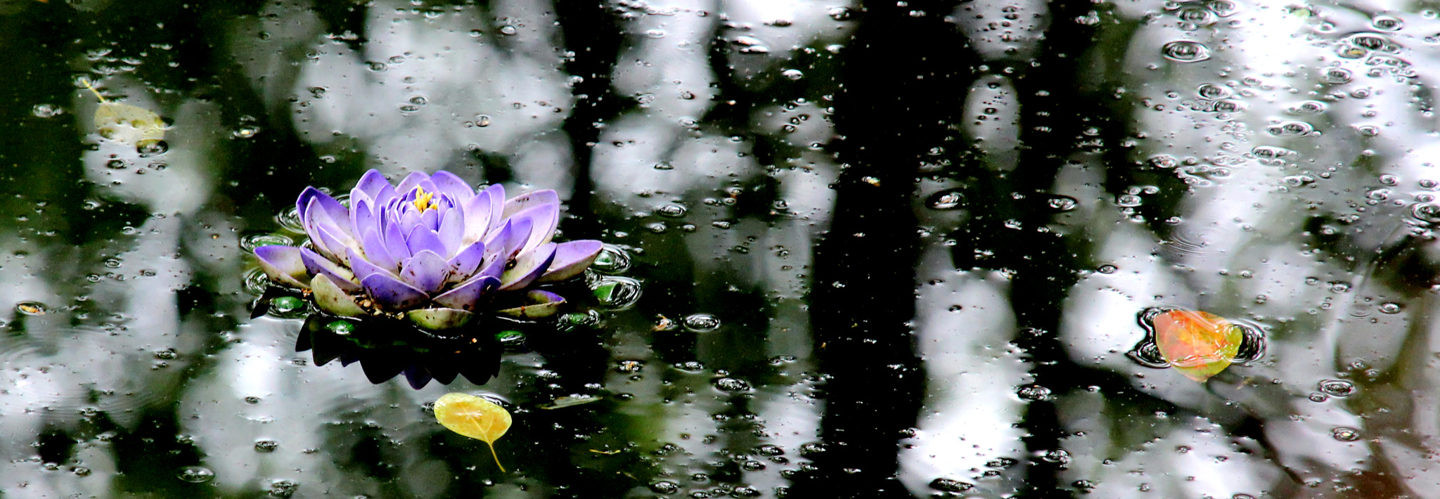 Sigma 18-200mm f/3.5-6.3 DC OS sample photo