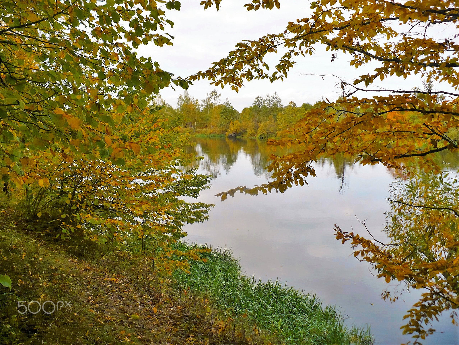 Panasonic DMC-LZ7 sample photo. The path near the river. Тропинка около реки. photography