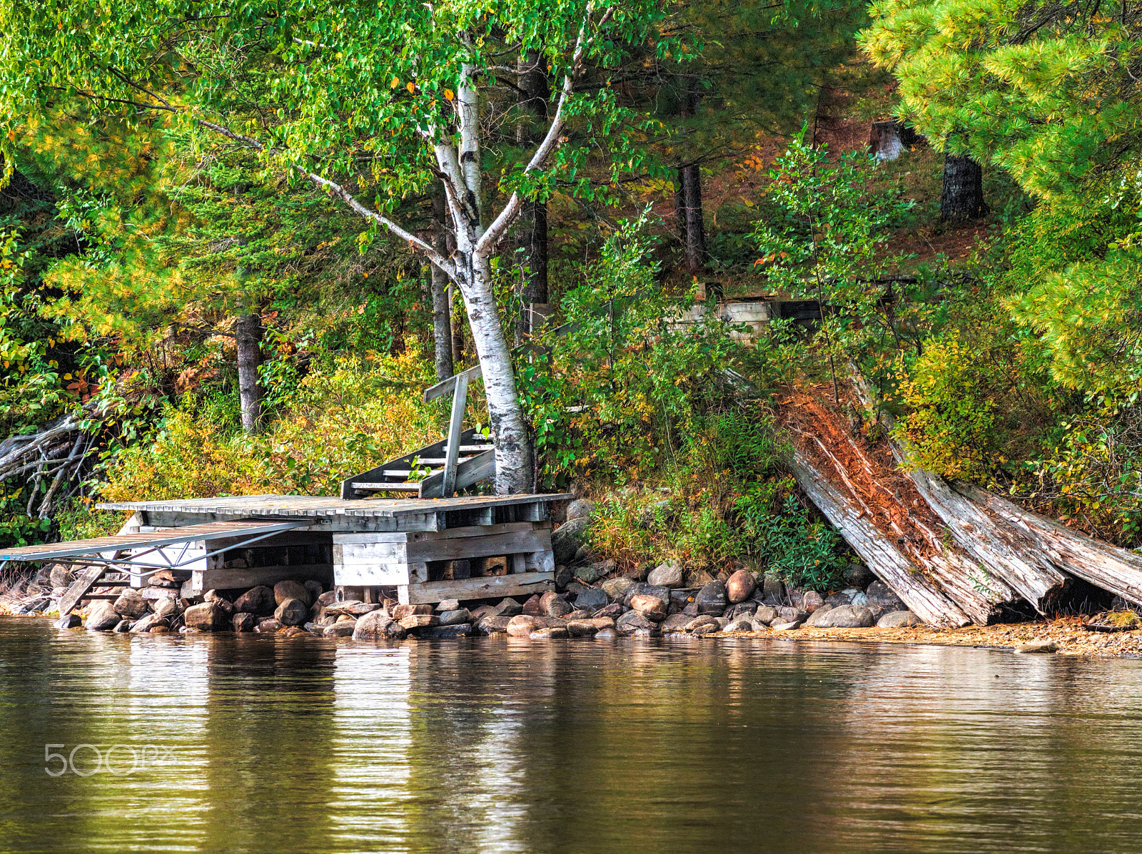 Olympus OM-D E-M5 sample photo. Algonquin dock photography