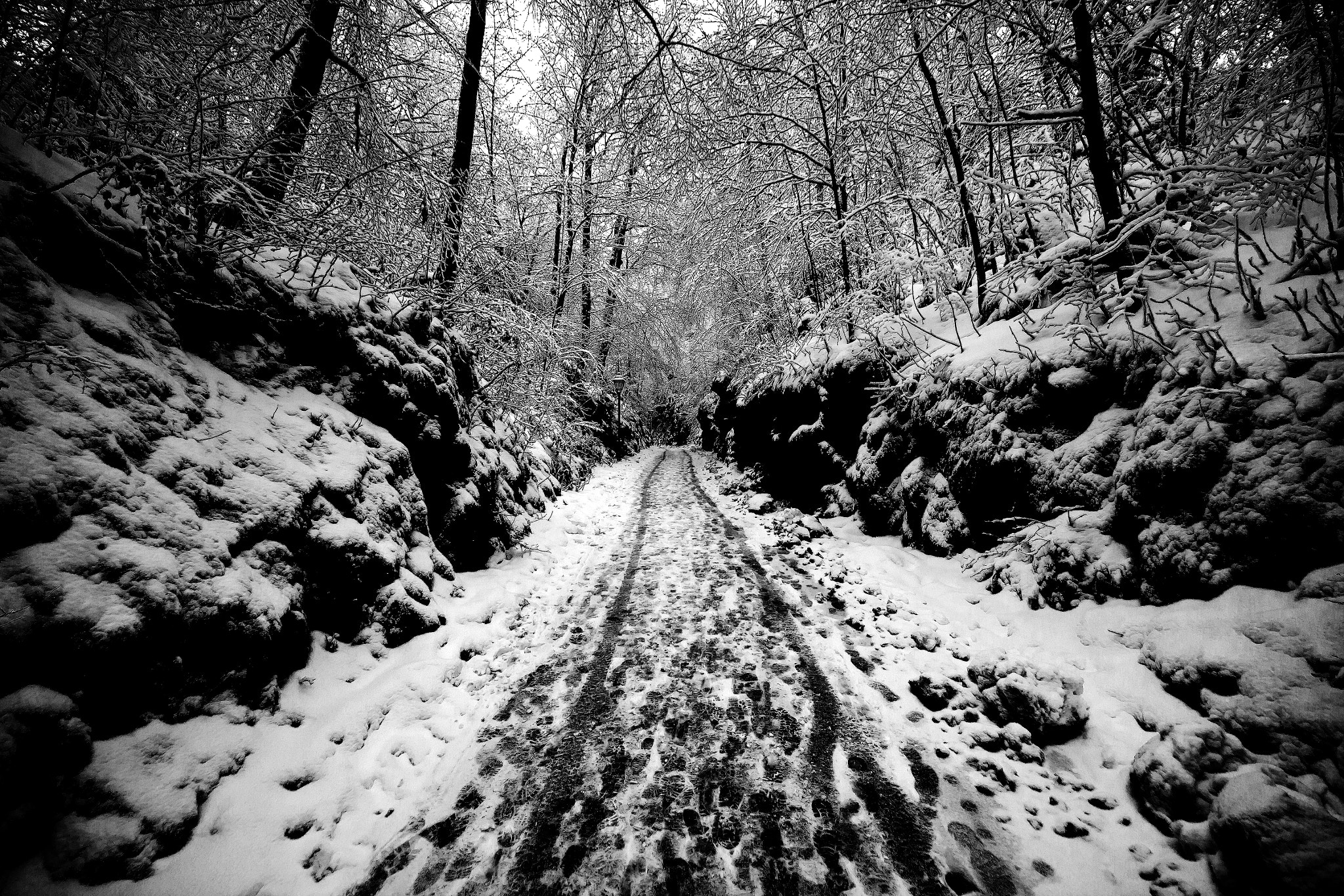 Sigma 8-16mm F4.5-5.6 DC HSM sample photo. Winter photography