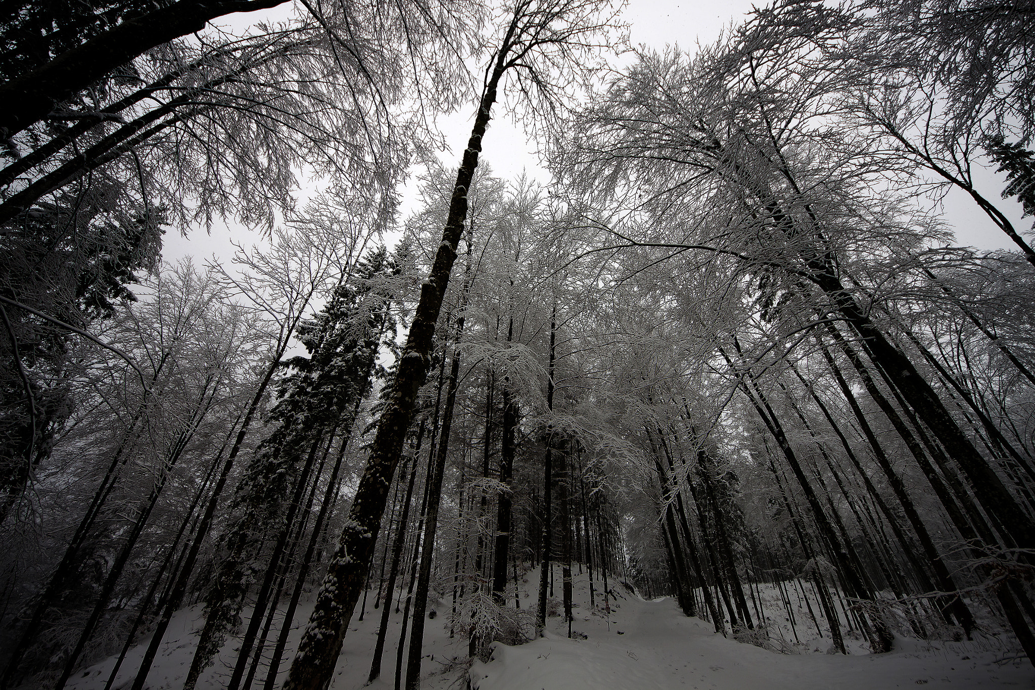 Sigma 8-16mm F4.5-5.6 DC HSM sample photo. Winter photography