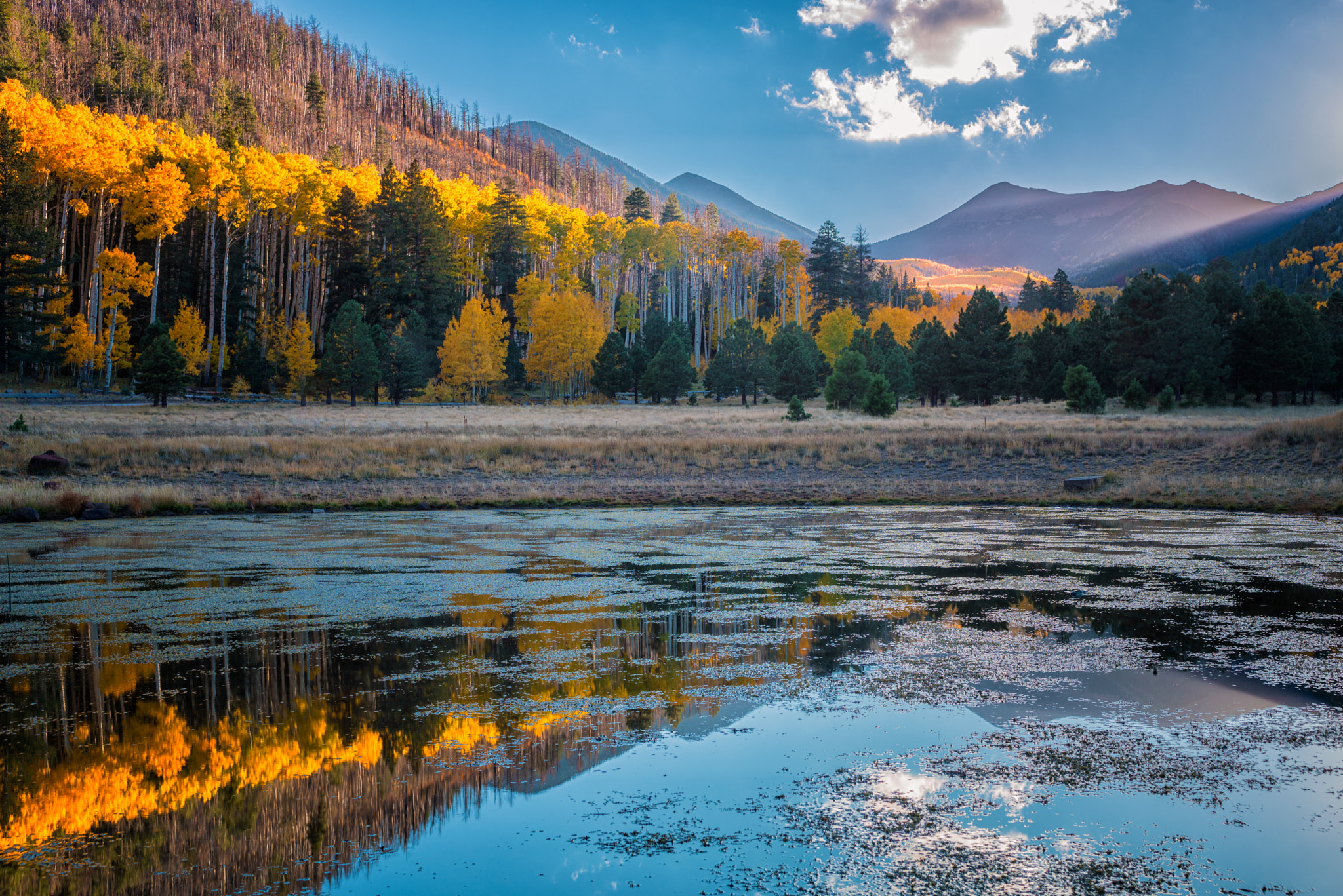 Nikon AF-S Nikkor 28-70mm F2.8 ED-IF sample photo. Fall reflection photography