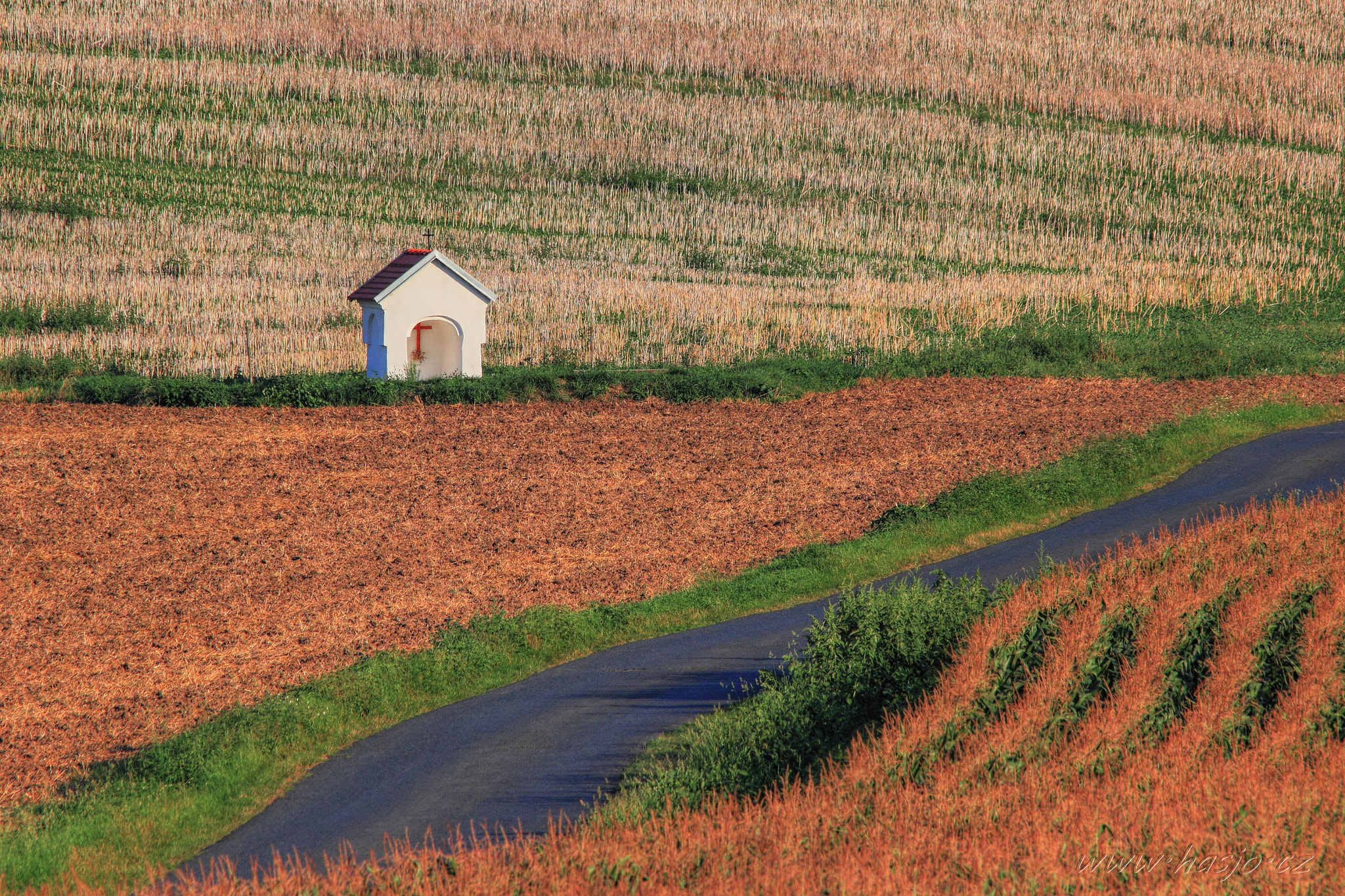 Sigma 150-500mm F5-6.3 DG OS HSM sample photo. Tonemapping photography