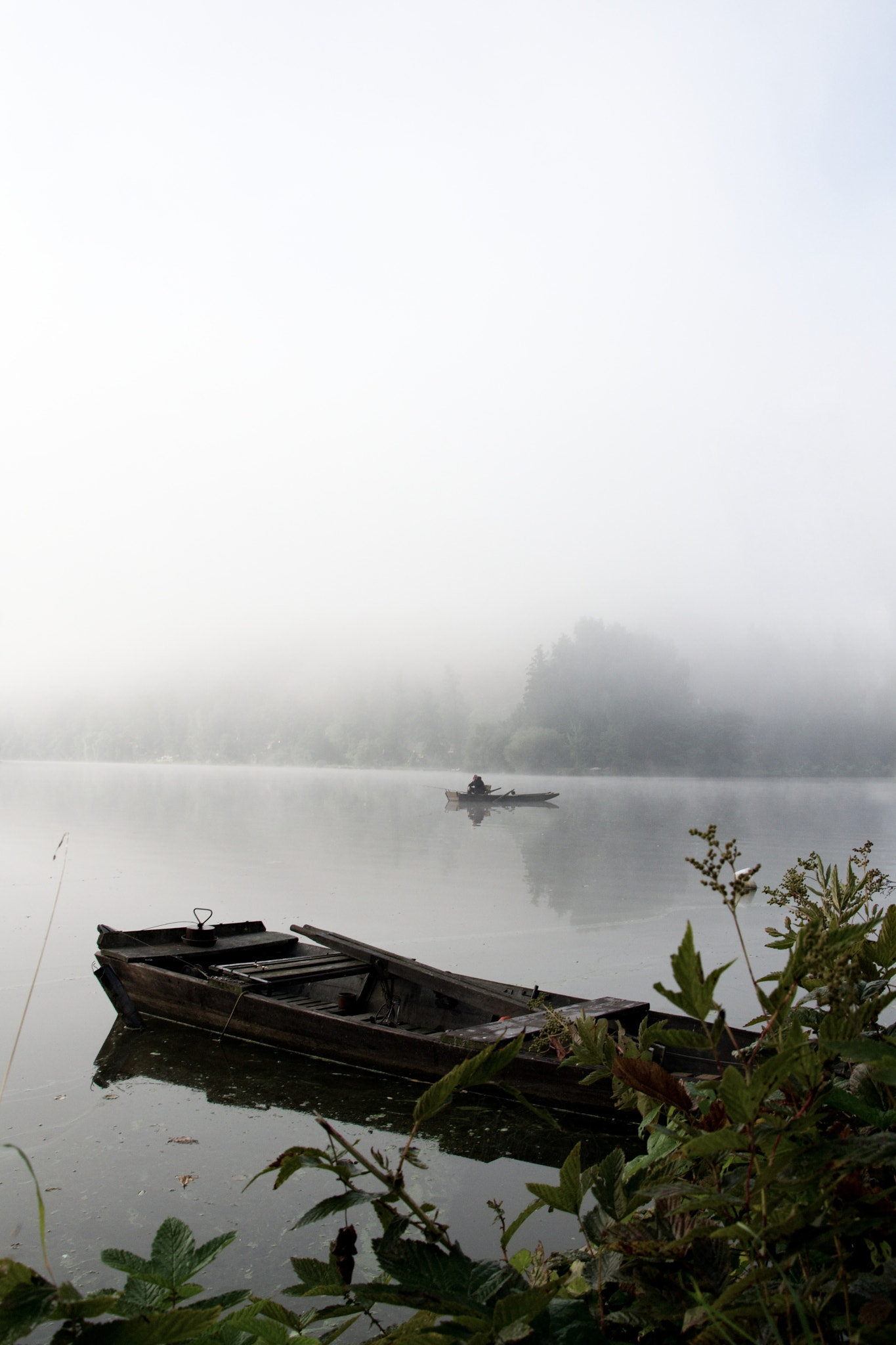 Nikon D3100 + 18.00 - 105.00 mm f/3.5 - 5.6 sample photo. Misty morning photography