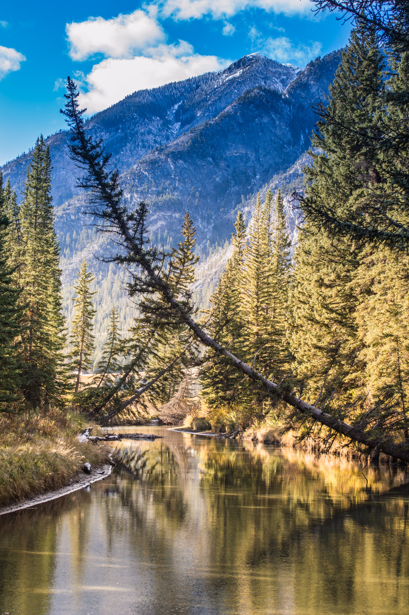 Nikon D3200 + Sigma 50mm F1.4 EX DG HSM sample photo. Beauty of banff photography