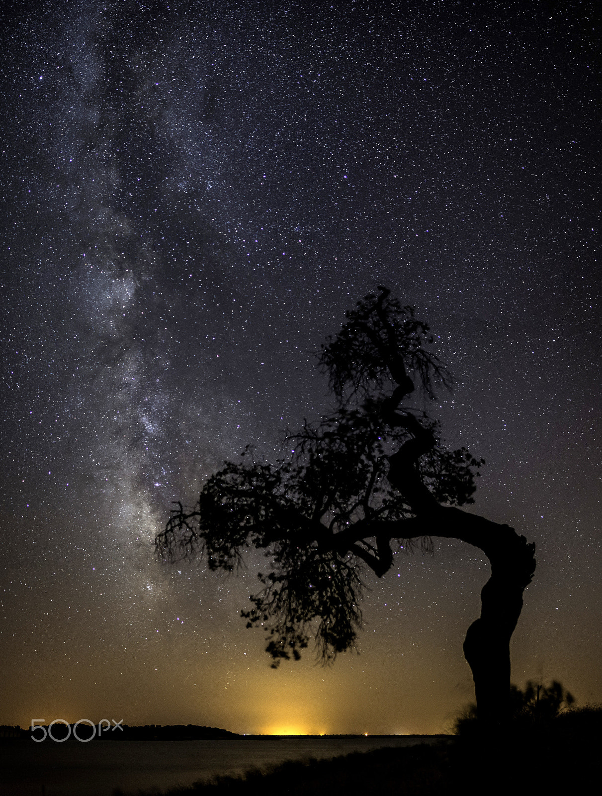 Samyang 12mm F2.8 ED AS NCS Fisheye sample photo. Origins photography