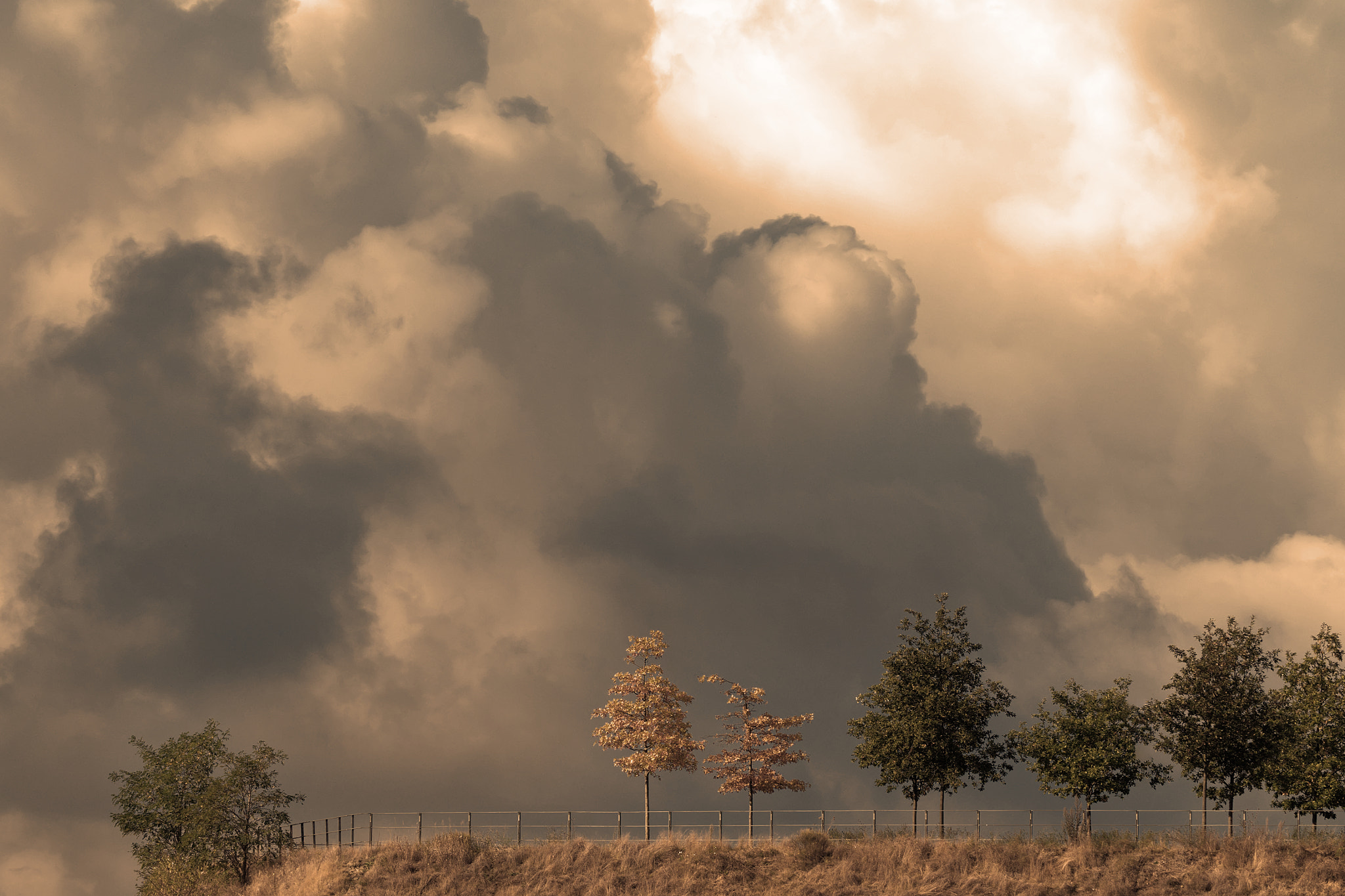 Olympus OM-D E-M5 II sample photo. Clouds photography