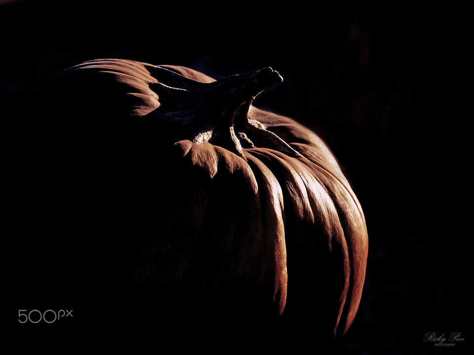 Olympus OM-D E-M5 II sample photo. Dark pumpkin photography