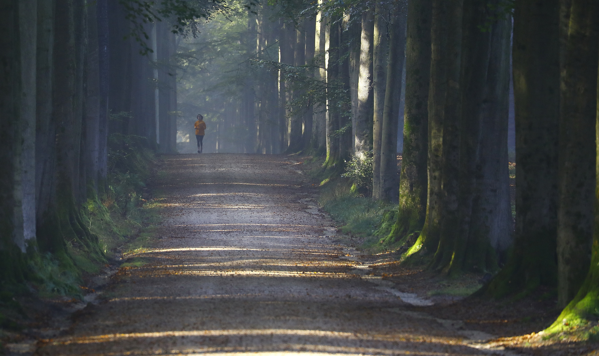 Canon EF 70-300mm F4-5.6L IS USM sample photo. In beauty we walk photography