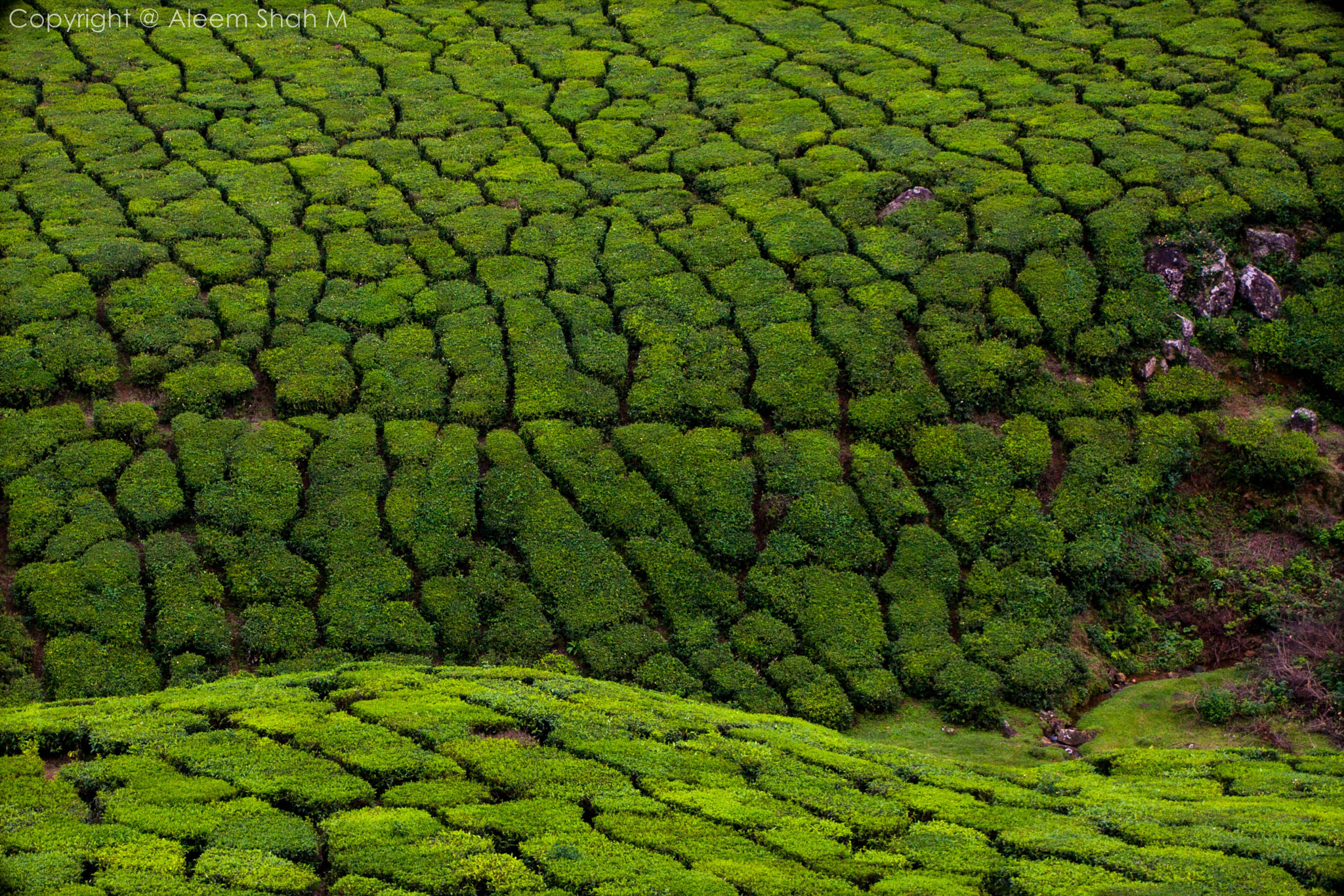 Canon EOS 40D sample photo. The labyrinth photography
