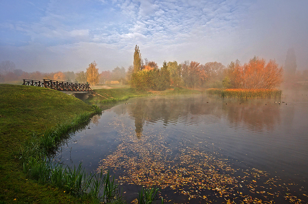 Minolta AF 28-80mm F3.5-5.6 II sample photo. Morning fog photography