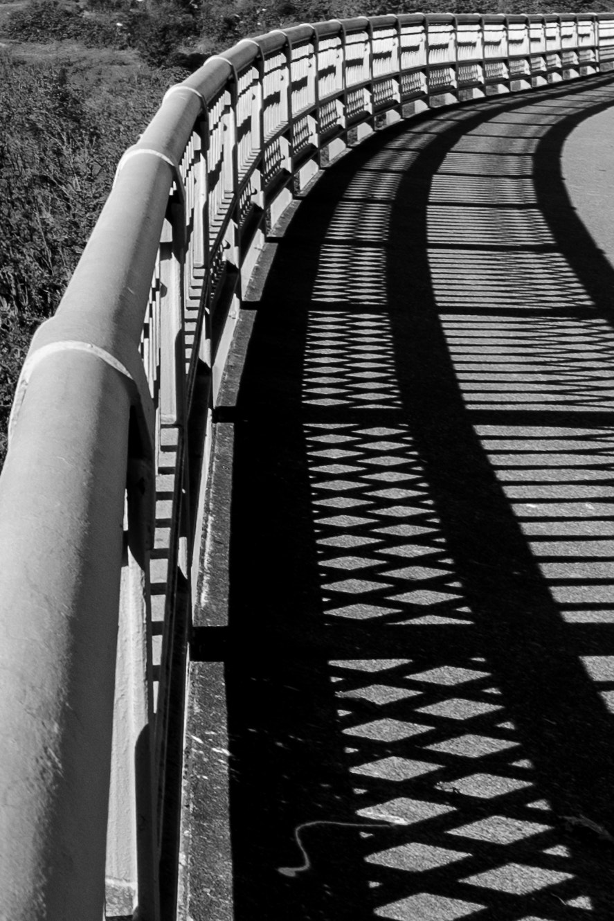 Tokina AT-X Pro 11-16mm F2.8 DX sample photo. Seattle patterns photography
