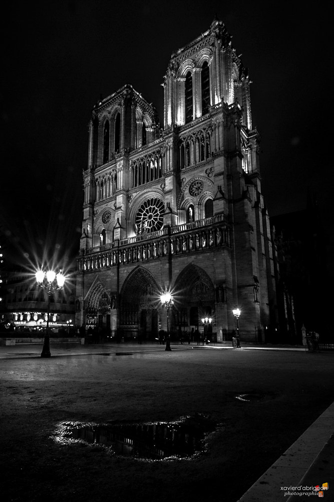 Sigma 8-16mm F4.5-5.6 DC HSM sample photo. Notre-dame de paris photography