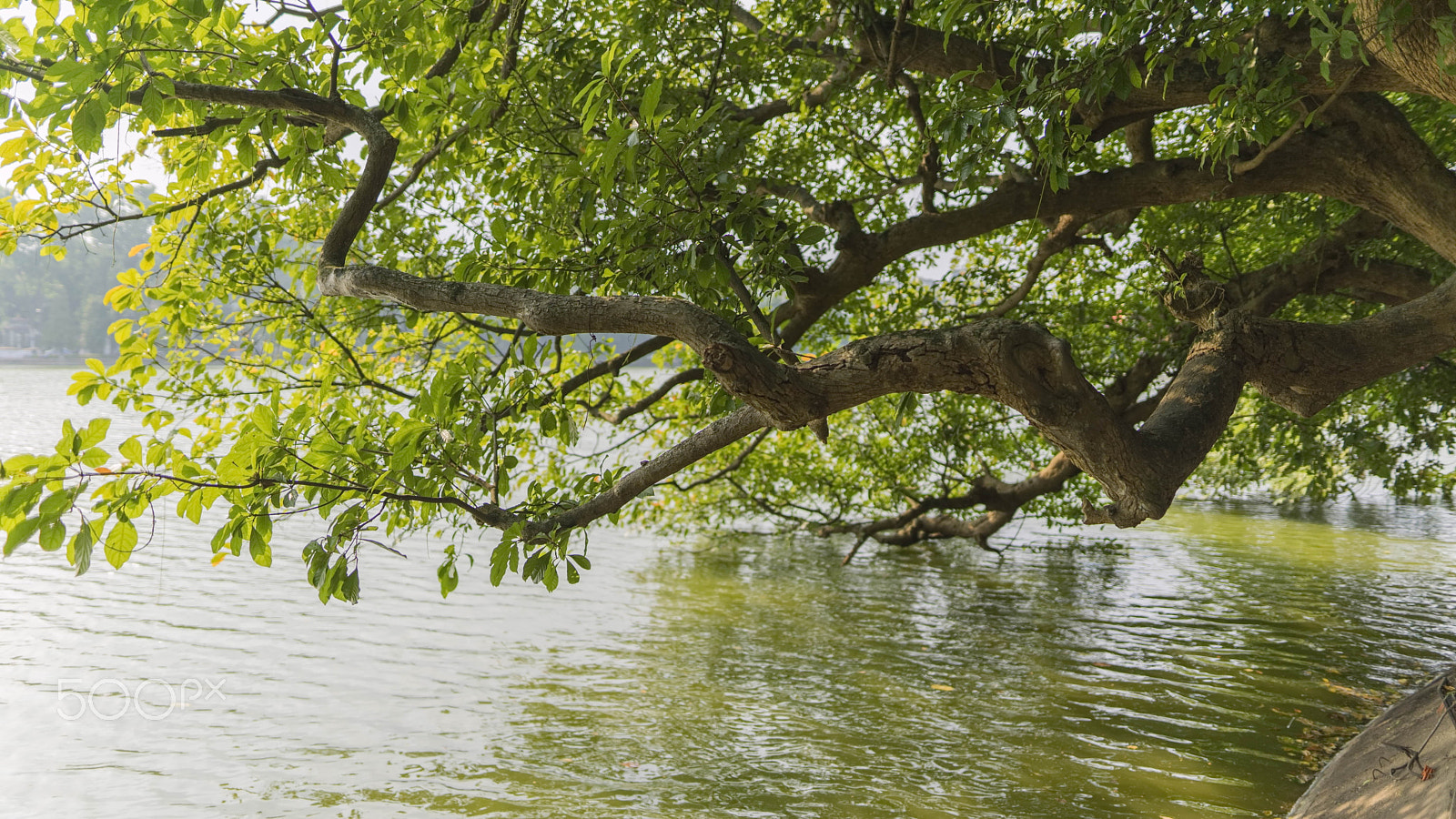 Sony a7 II sample photo. Hoan kiem lake photography