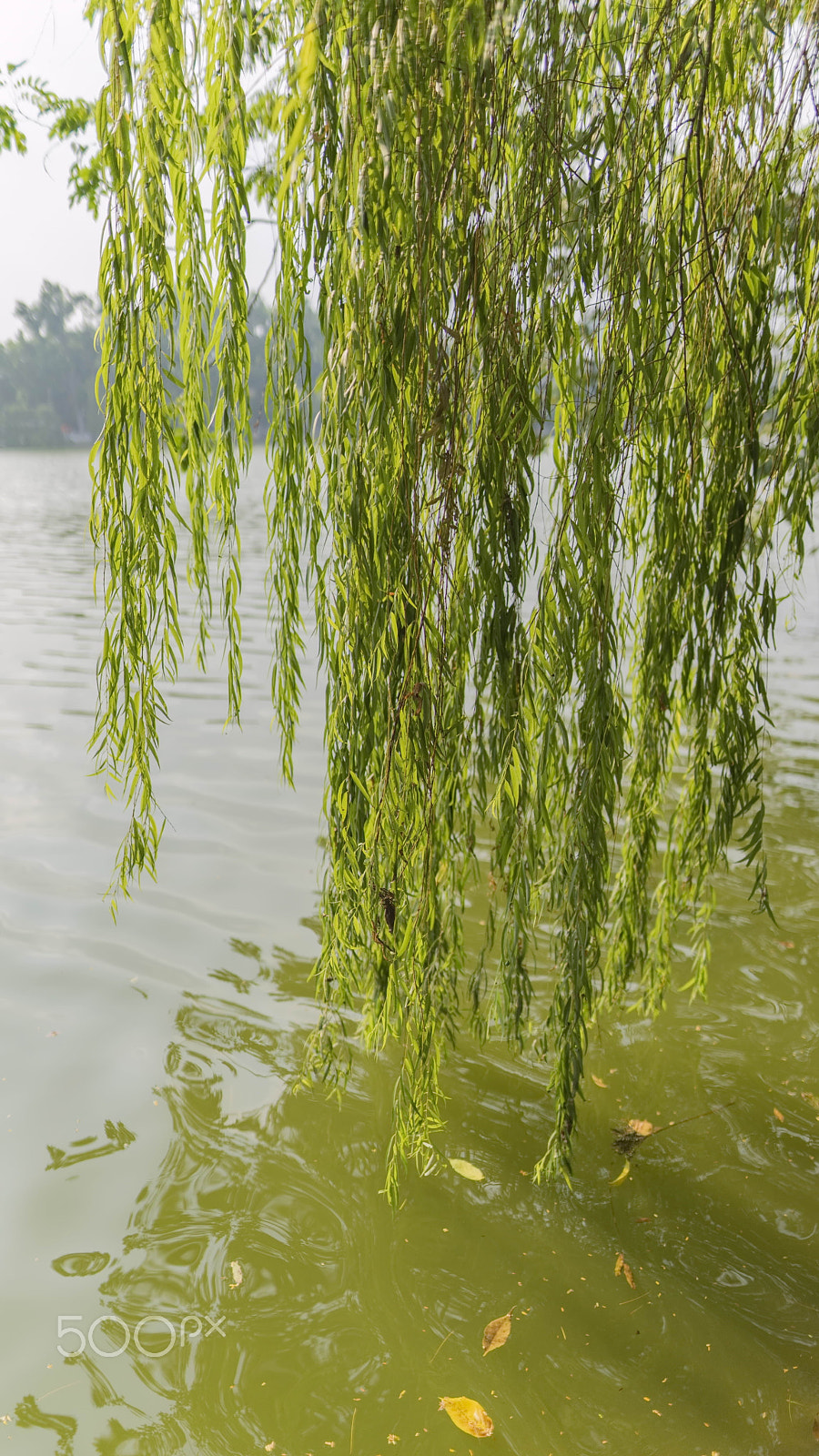 Sigma 24mm F1.4 DG HSM Art sample photo. Hoan kiem lake photography