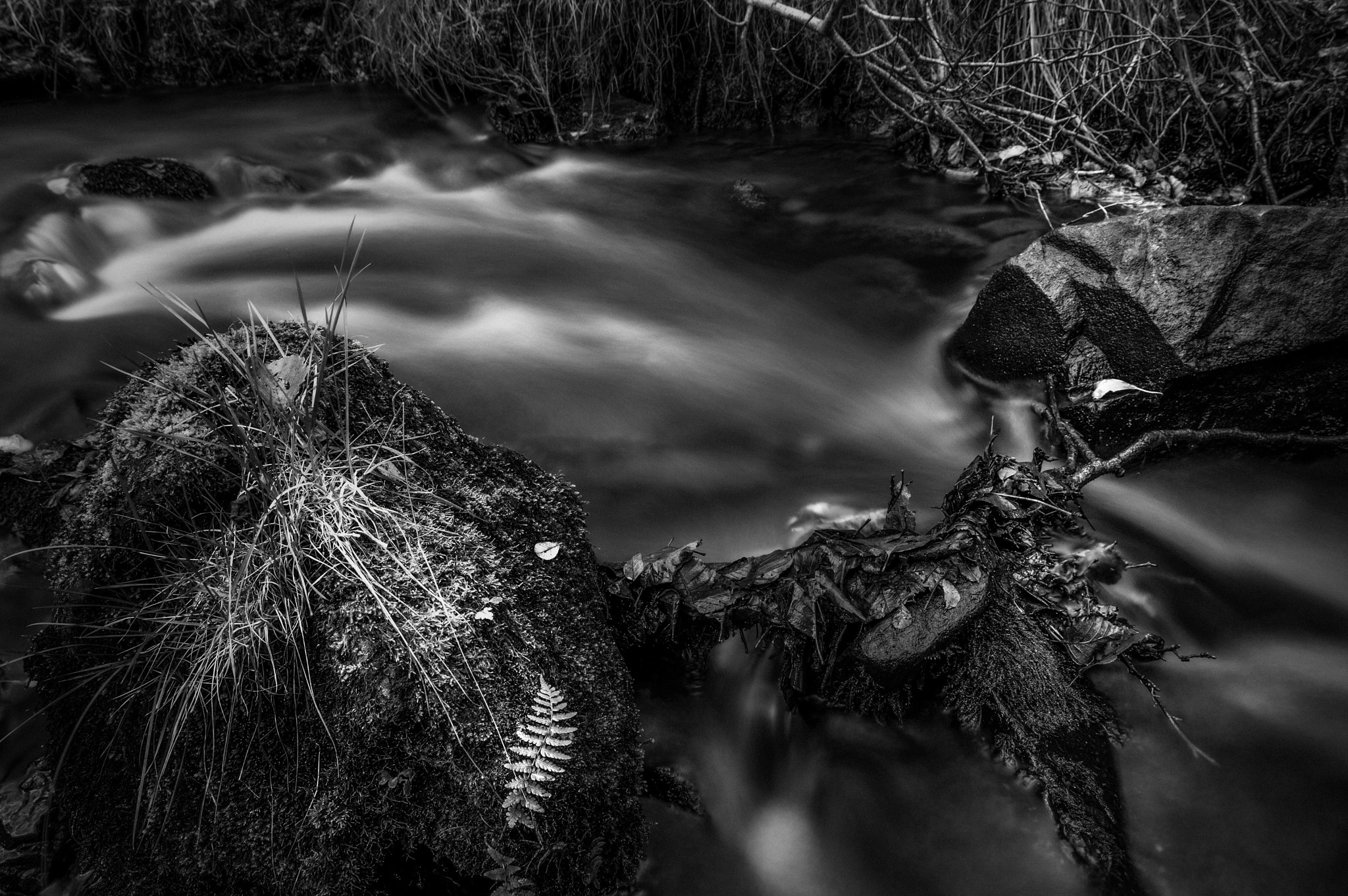 Sigma 17-70mm F2.8-4 DC Macro OS HSM sample photo. Silent waters photography