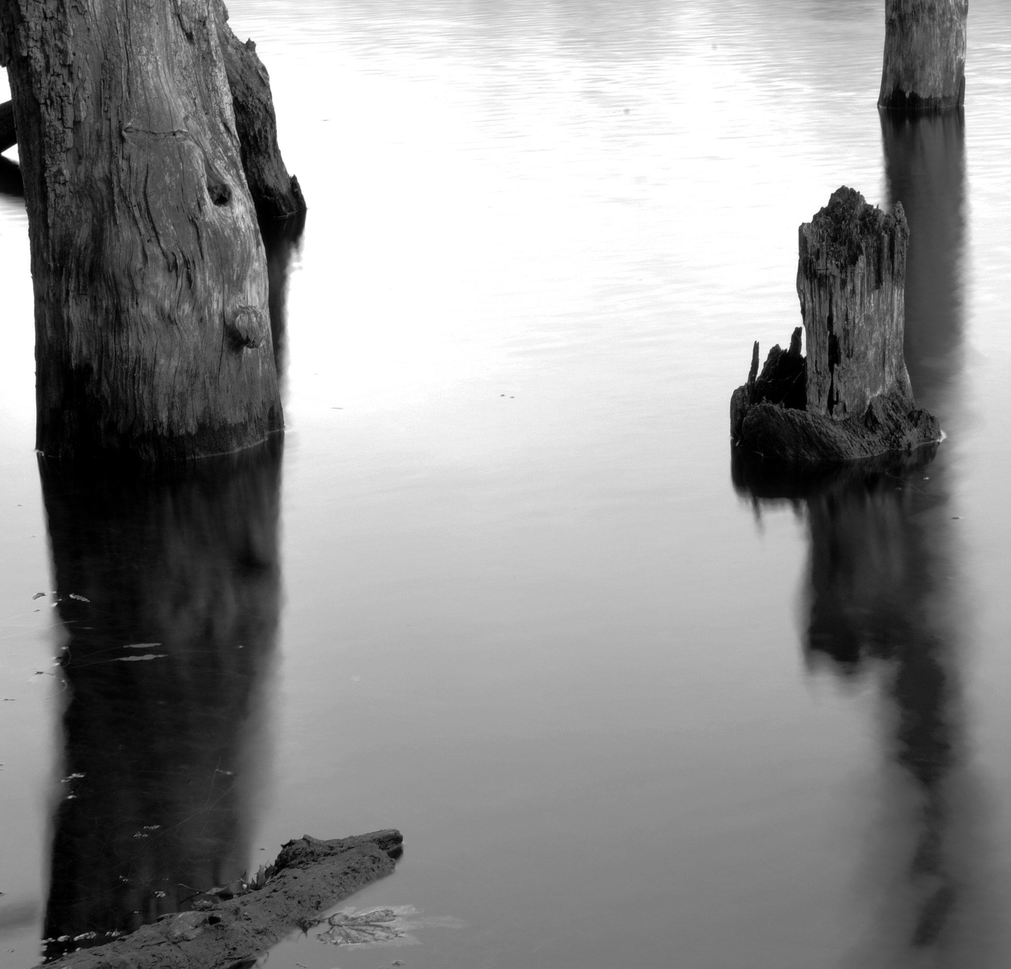 Pentax K-S2 sample photo. Dead tree reflections photography