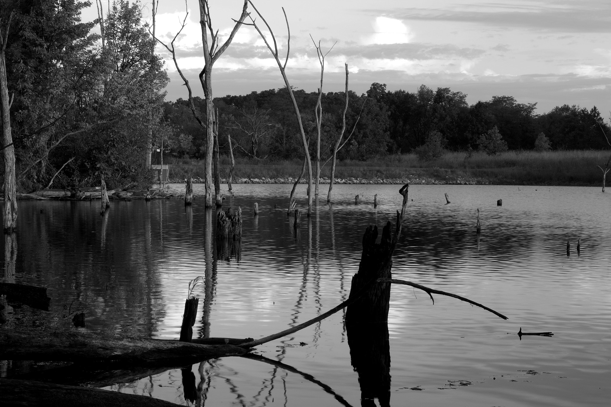 Pentax K-S2 sample photo. Lake morning photography