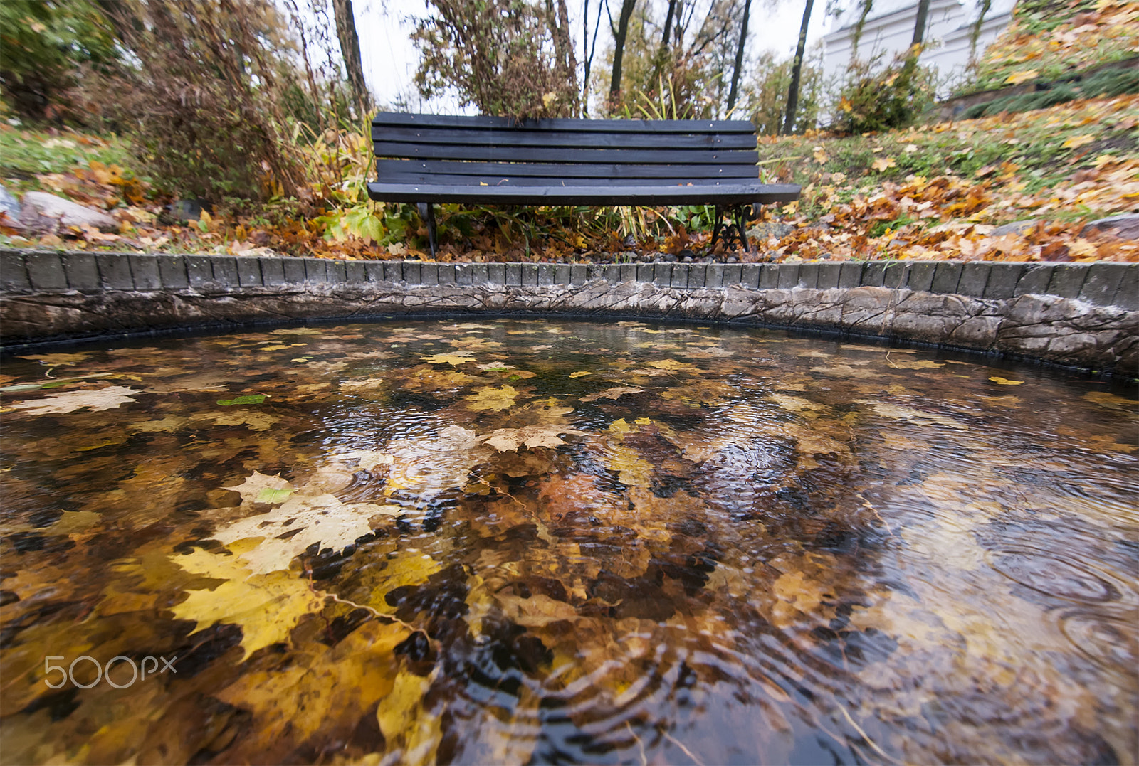 Tokina AT-X Pro 11-16mm F2.8 DX sample photo. To draw golden autumn... photography