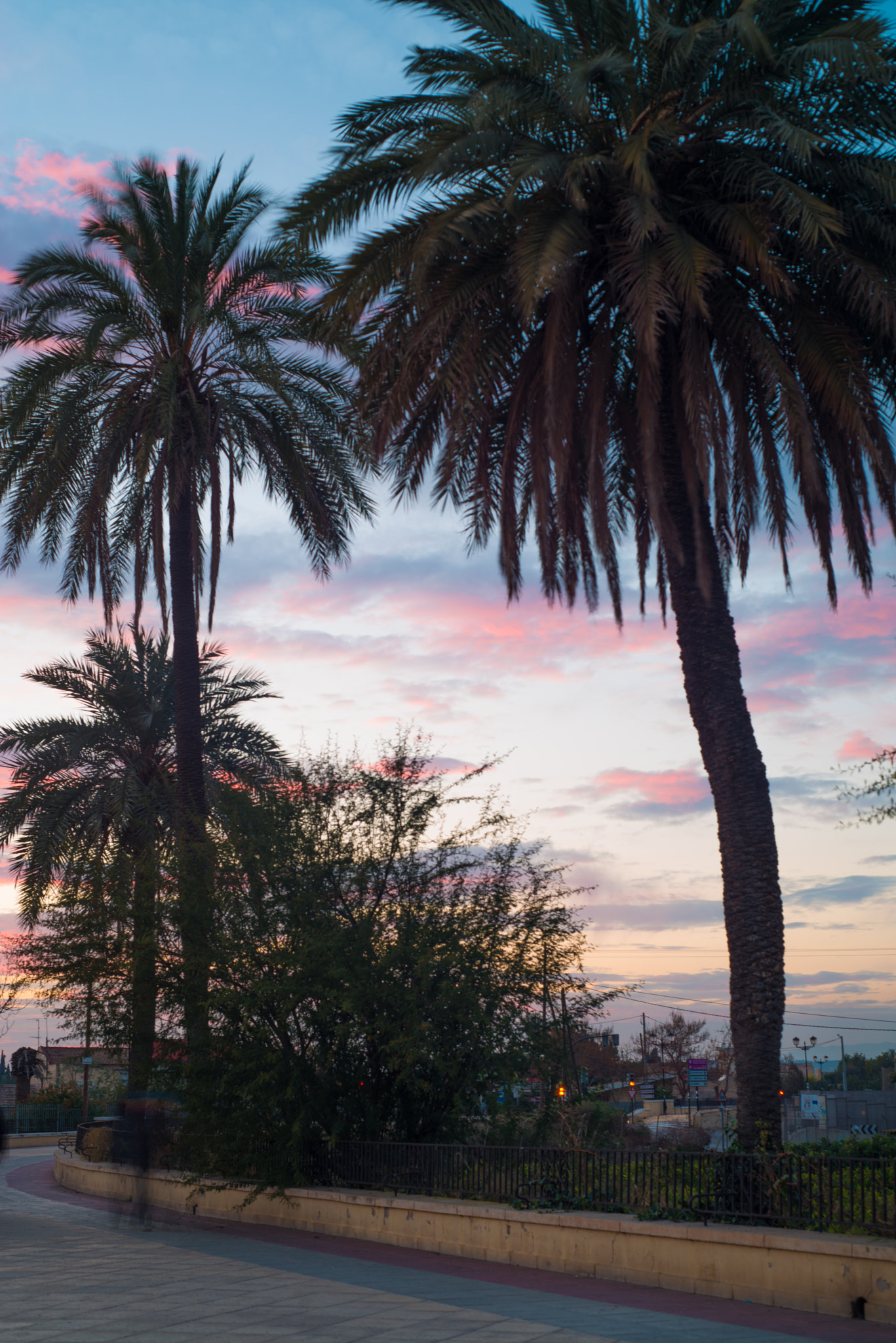 Nikon D800 + AF Nikkor 50mm f/1.8 sample photo. Paseo del malecon, murcia photography